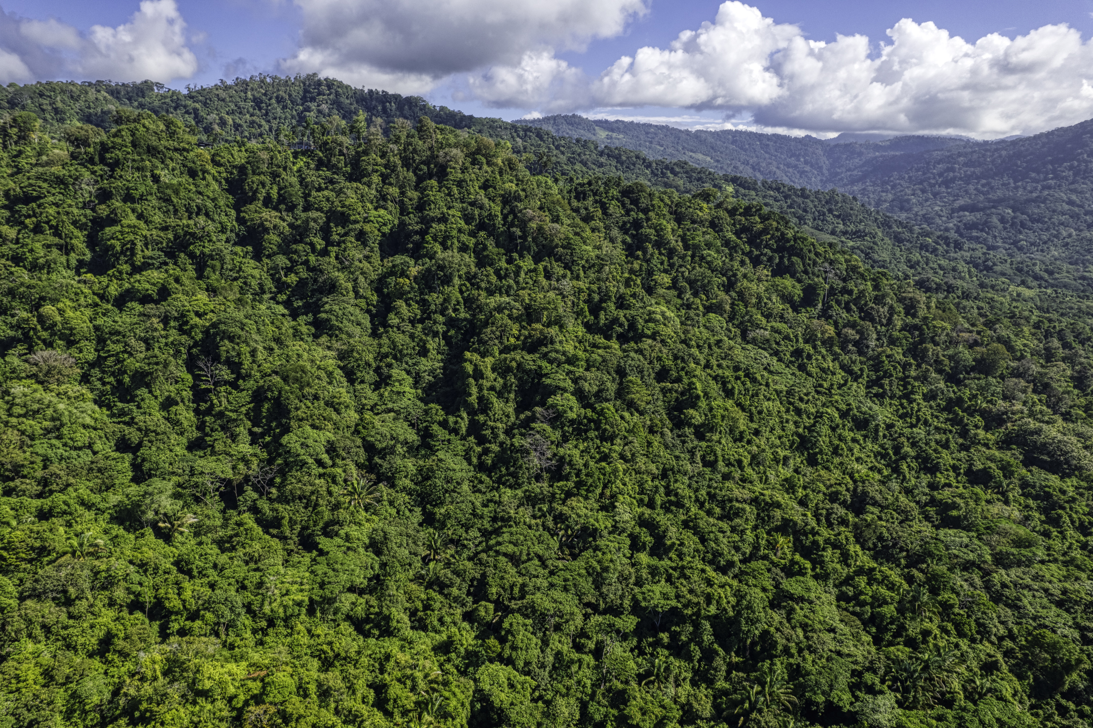 Portalon, Dominical, Puntarenas, CR, ,Land,For Sale,Portalon,1586164