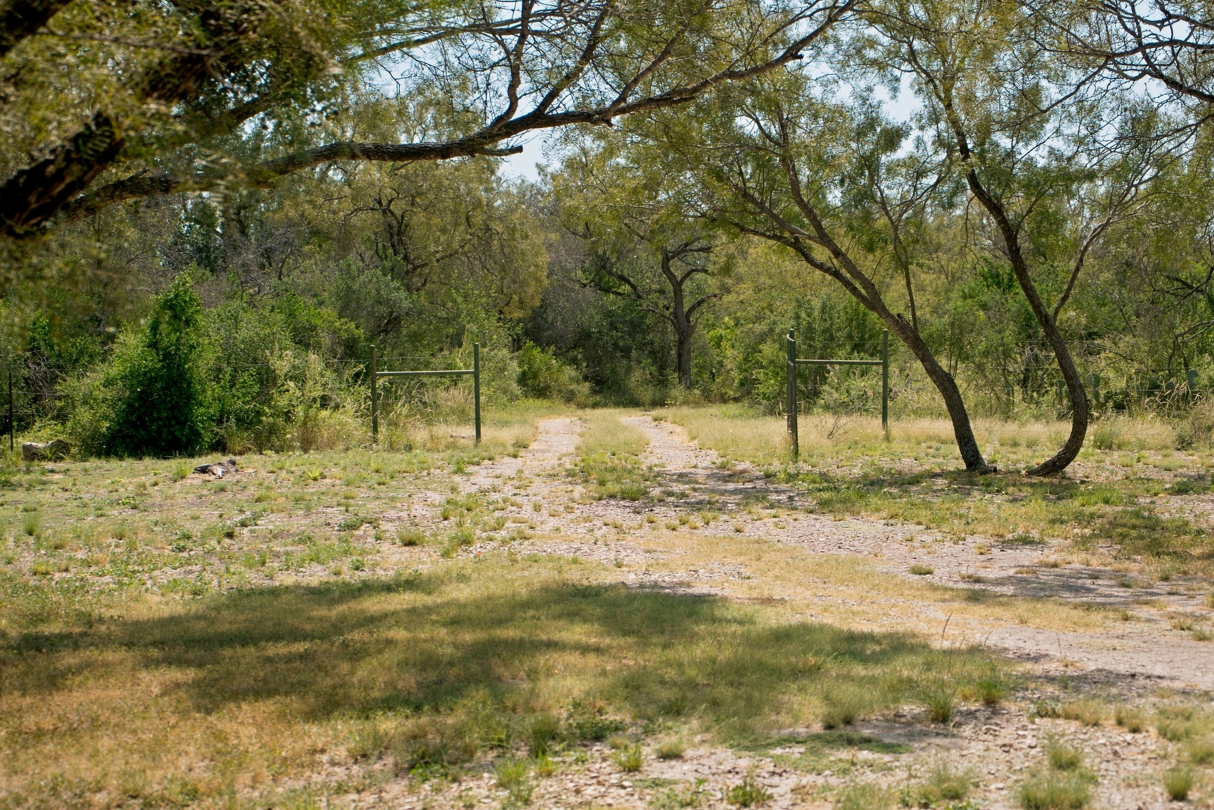  7, 902 +/- Las Moras Creek - 物件實景