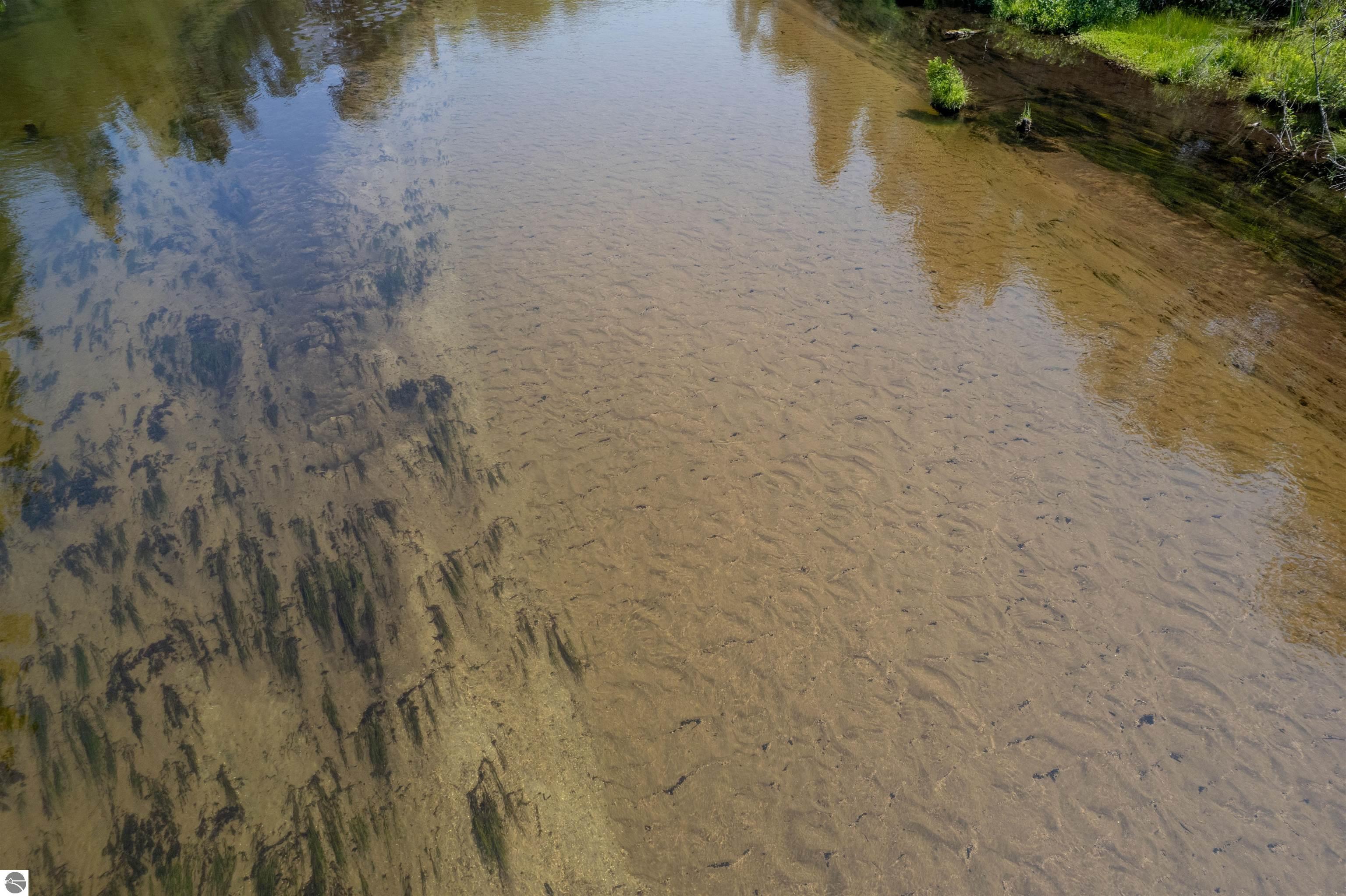 Rapid City, Michigan, 49676, United States, 1 Bedroom Bedrooms, ,Residential,For Sale,1960955