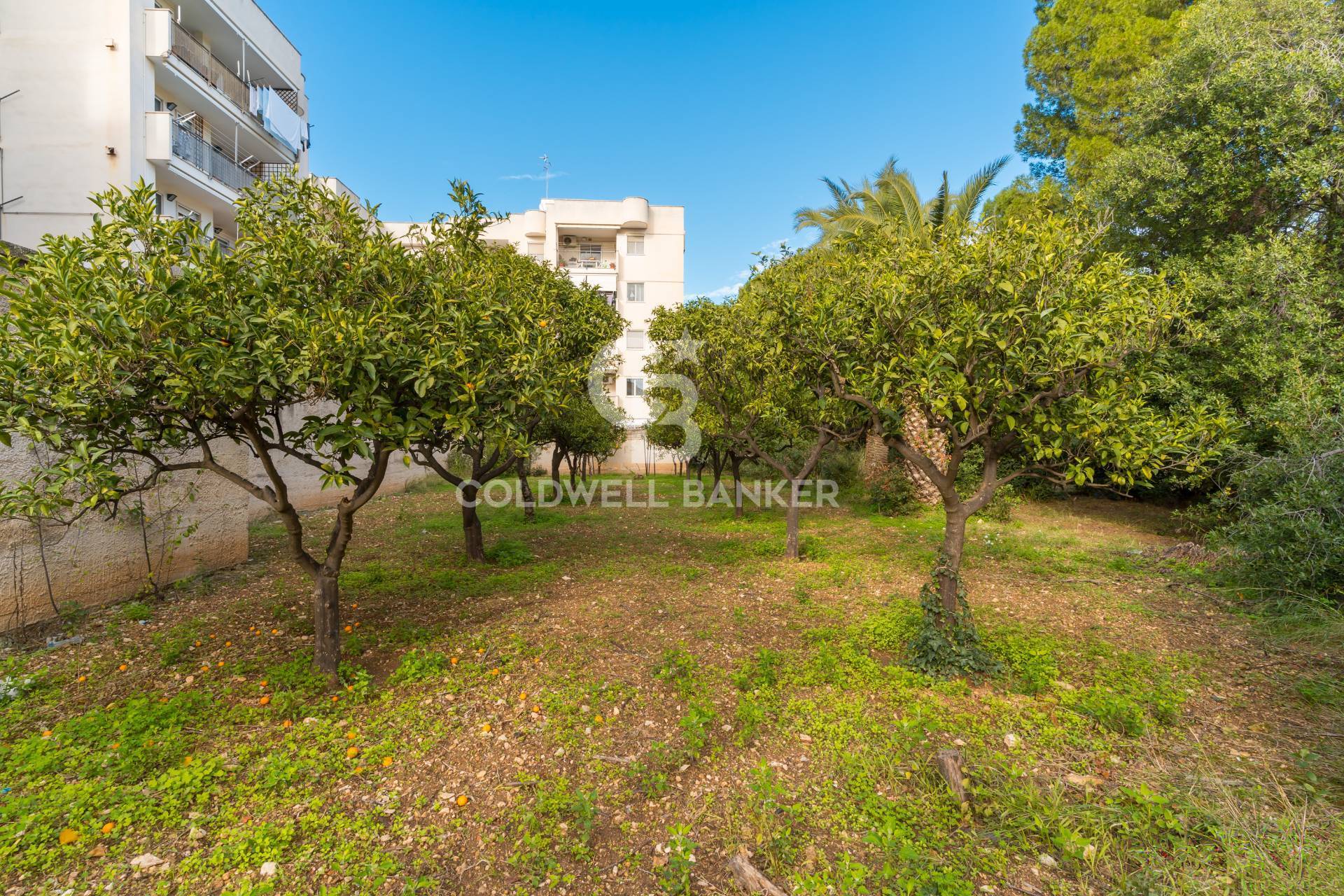 Via Bari, Valenzano, Bari, 70010, IT, 4 Bedrooms Bedrooms, ,4 BathroomsBathrooms,Residential,For Sale,Via Bari,1675139