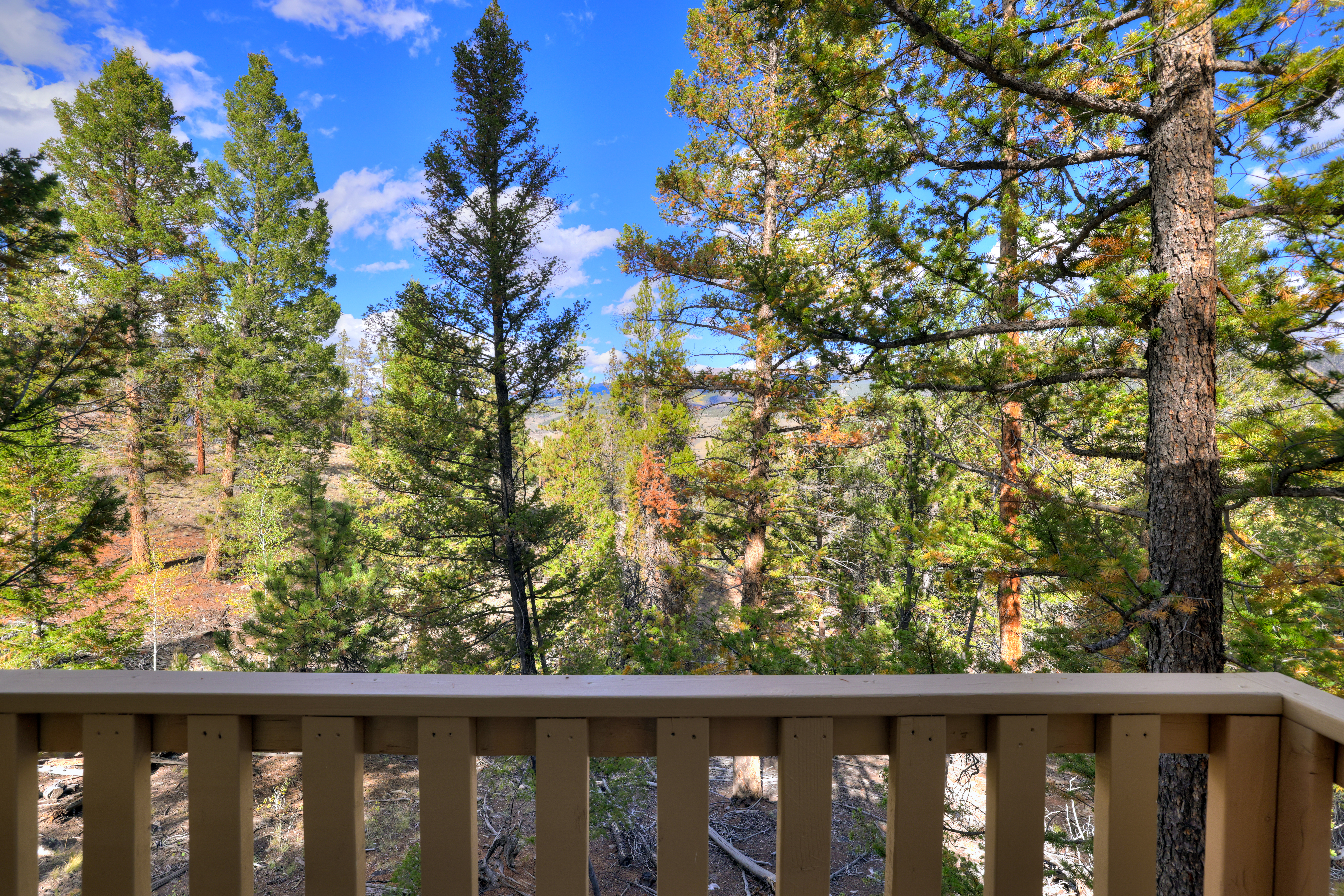  501 Reva Ridge Road, Twin Lakes, CO, 81251 - 物件實景
