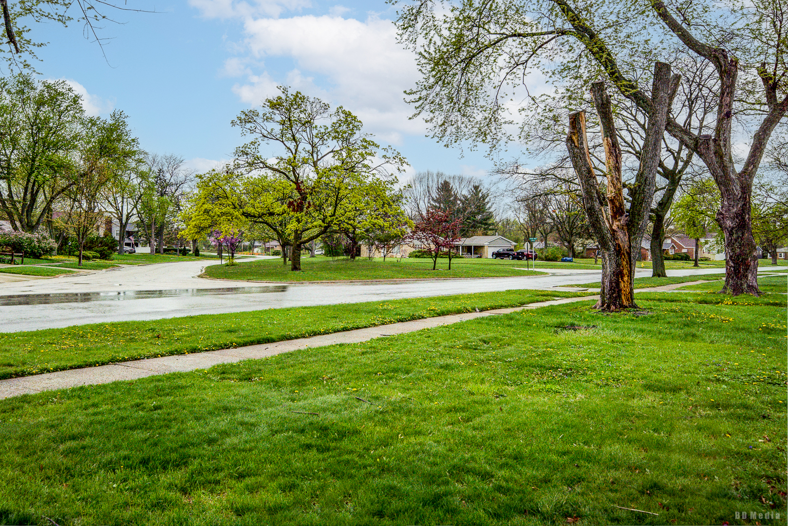Campbell Ave, Chicago Heights, IL 60411 #1