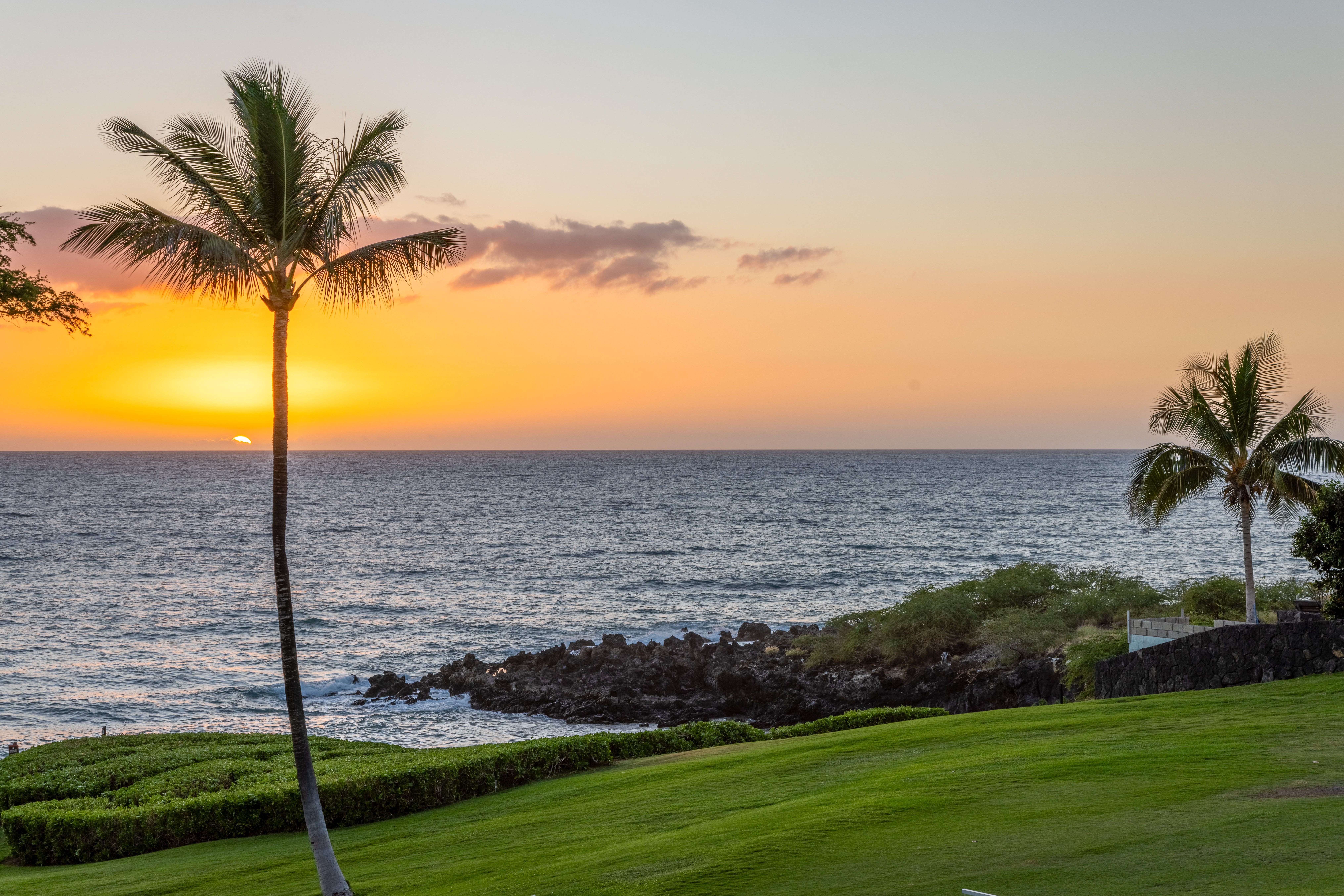  66 Kaunaoa Drive, Waimea, HI 96743 - 物件實景