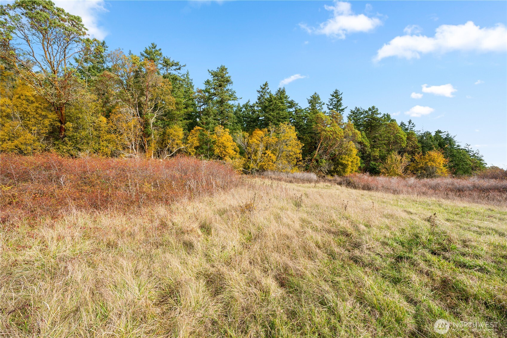 Friday Harbor, Washington, 98250, United States, ,Land,For Sale,1991931