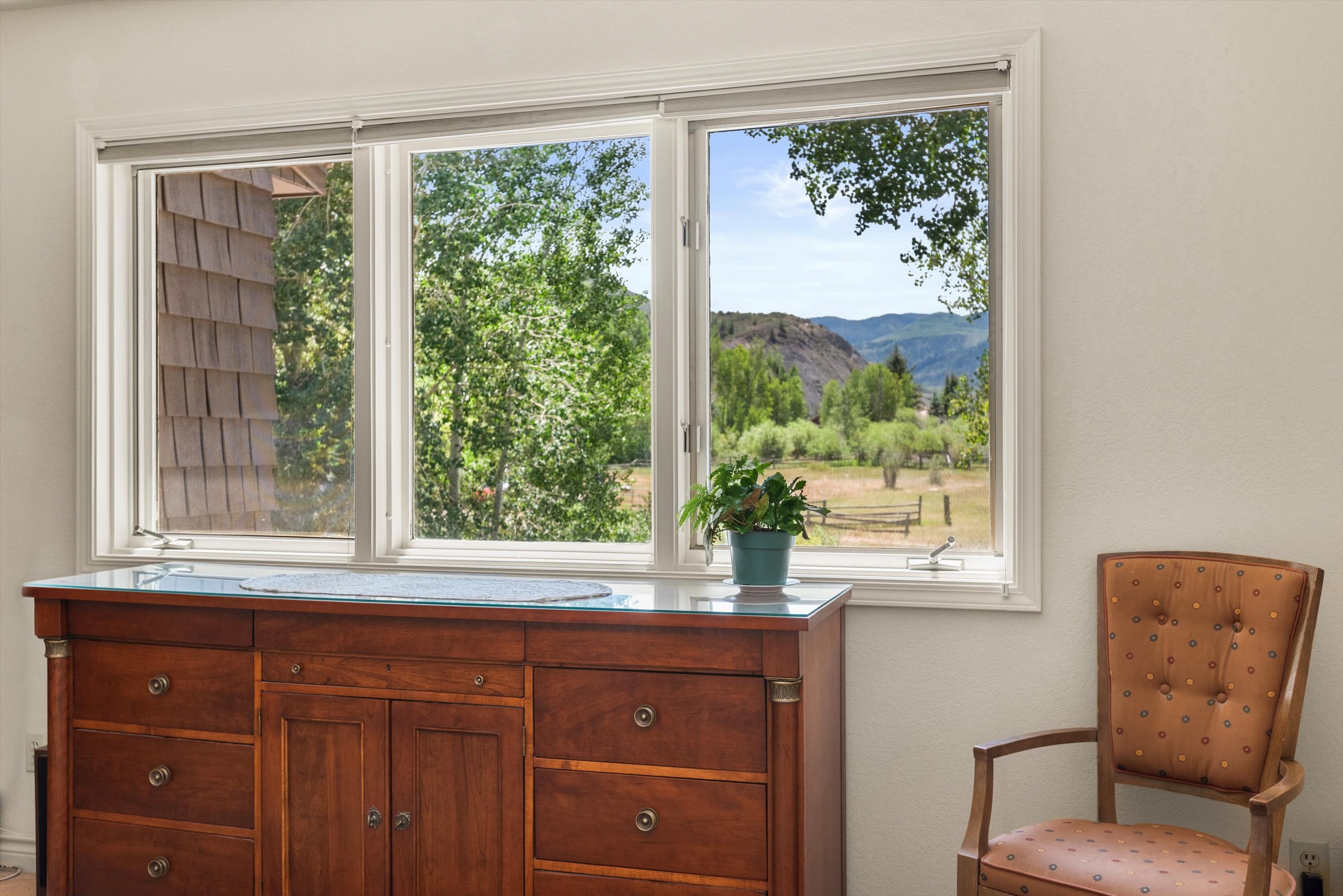  47 Davidson Lane, Snowmass, CO, 81654 - 物件實景