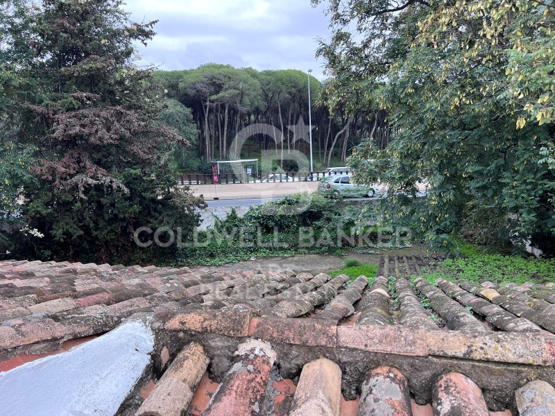 M?laga, Marbella, Las Chapas-El Rosario M?laga, Ma, Marbella, Andalusia, ES, 4 Bedrooms Bedrooms, ,3 BathroomsBathrooms,Residential,For Sale,M?laga, Marbella, Las Chapas-El Rosario M?laga, Ma,1665927