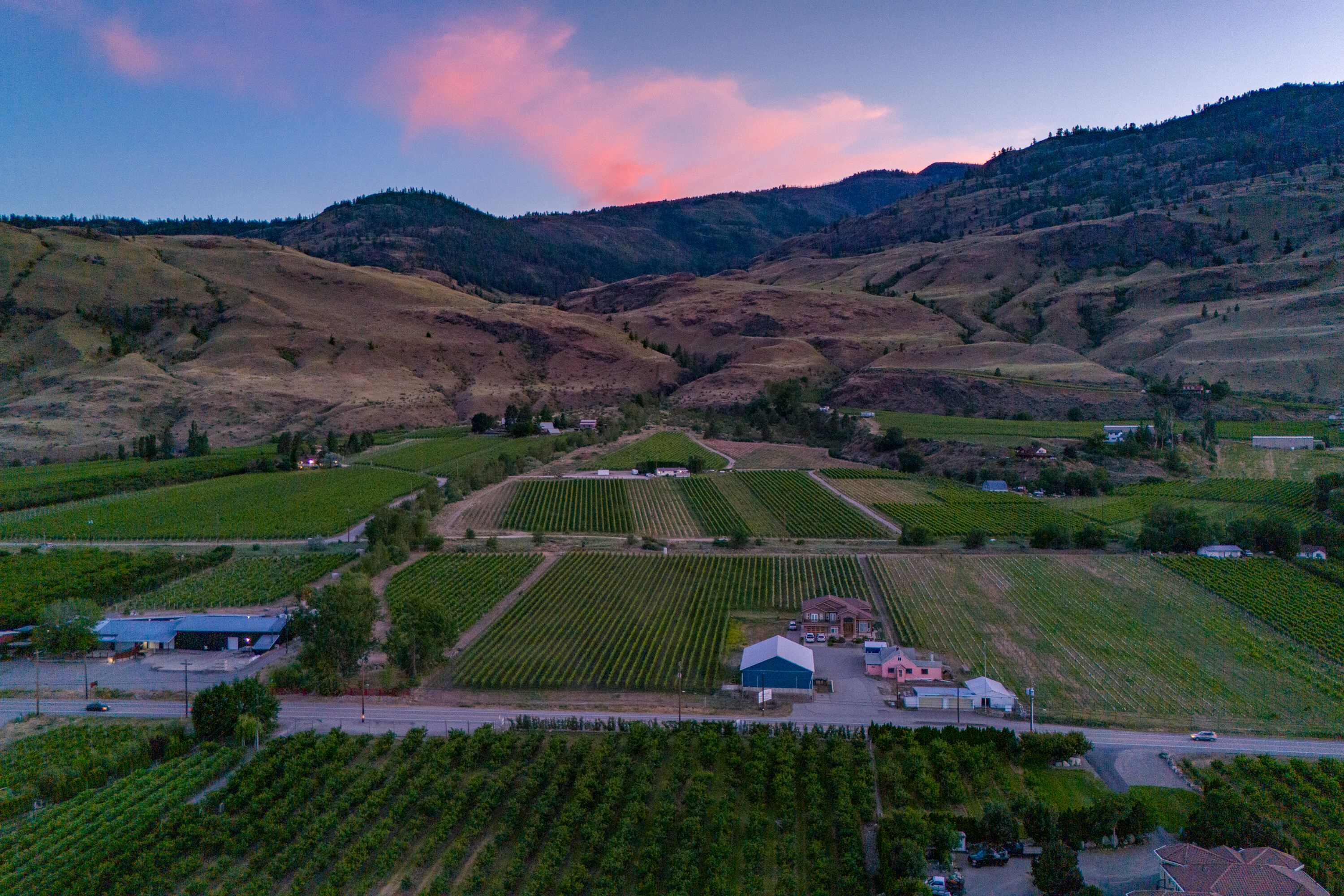  Vineyard Estate Receivership - 物件實景