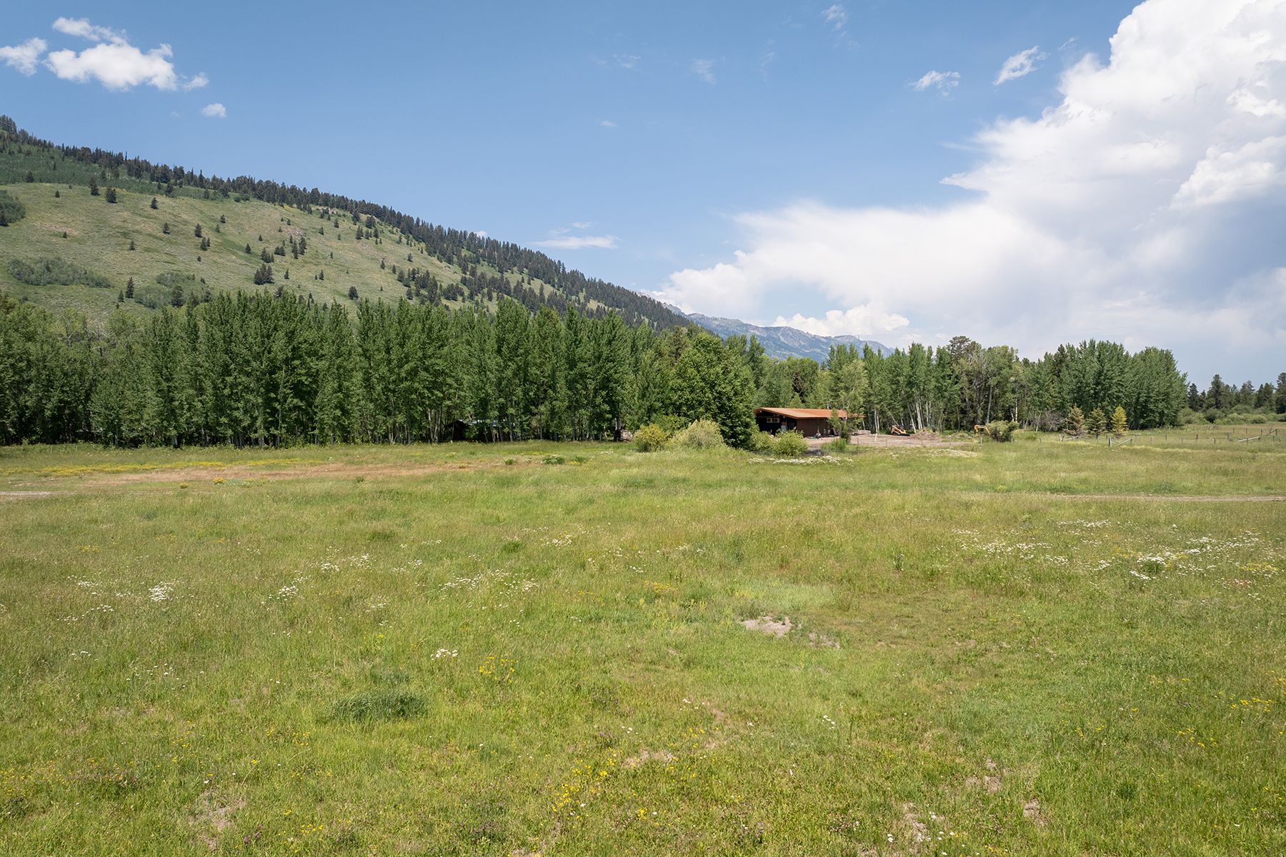  Lot 11  Triangle Q Ranch - 物件實景