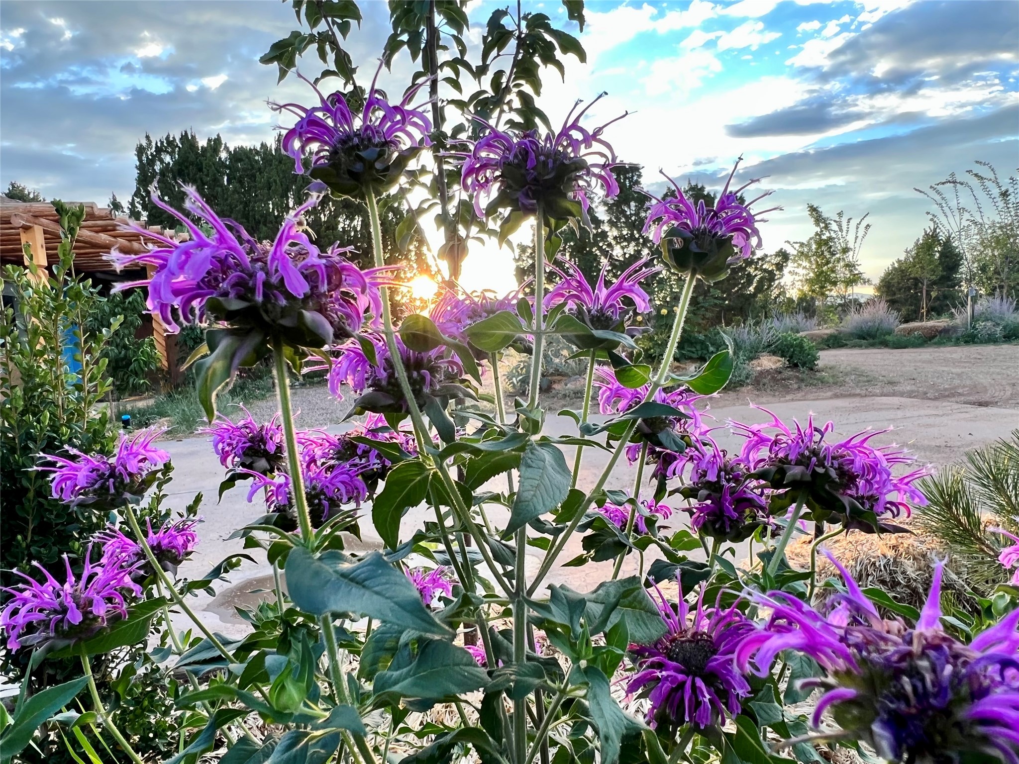  62 Encantado Loop - 物件實景