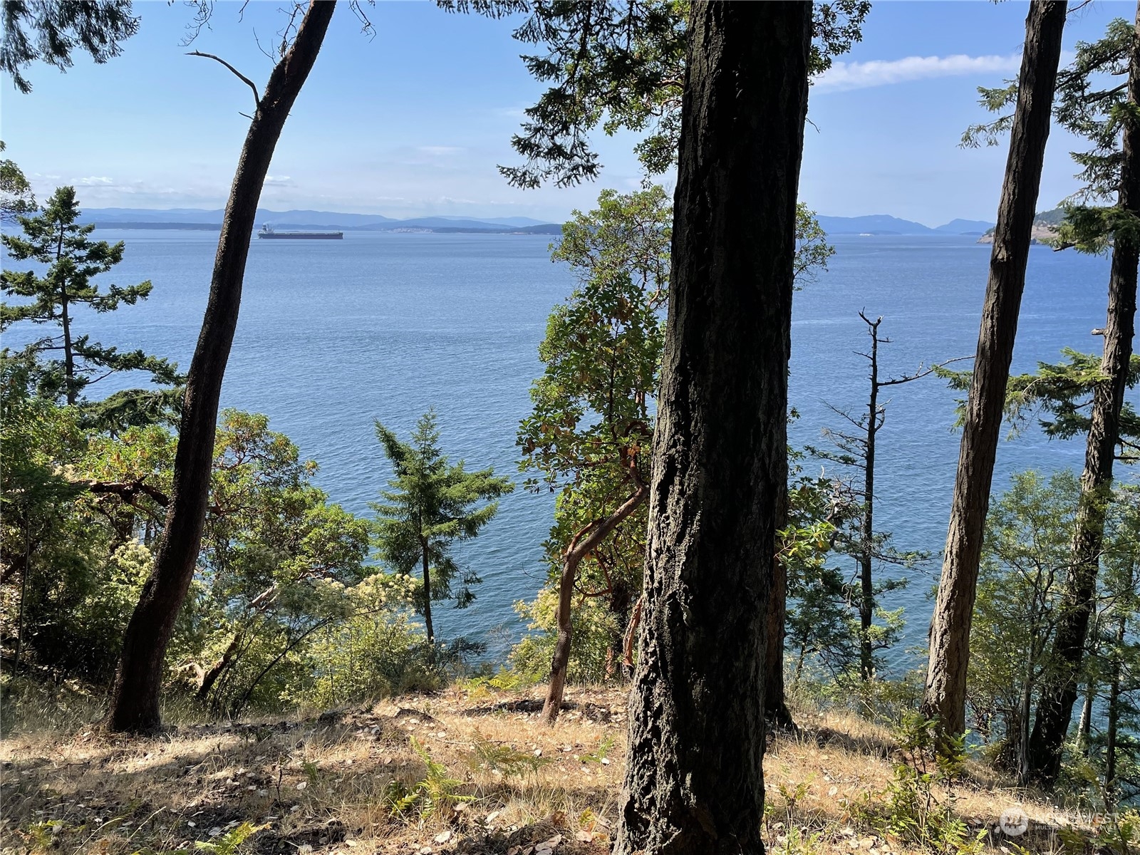 Friday Harbor, Washington, 98250, United States, ,Land,For Sale,1752518