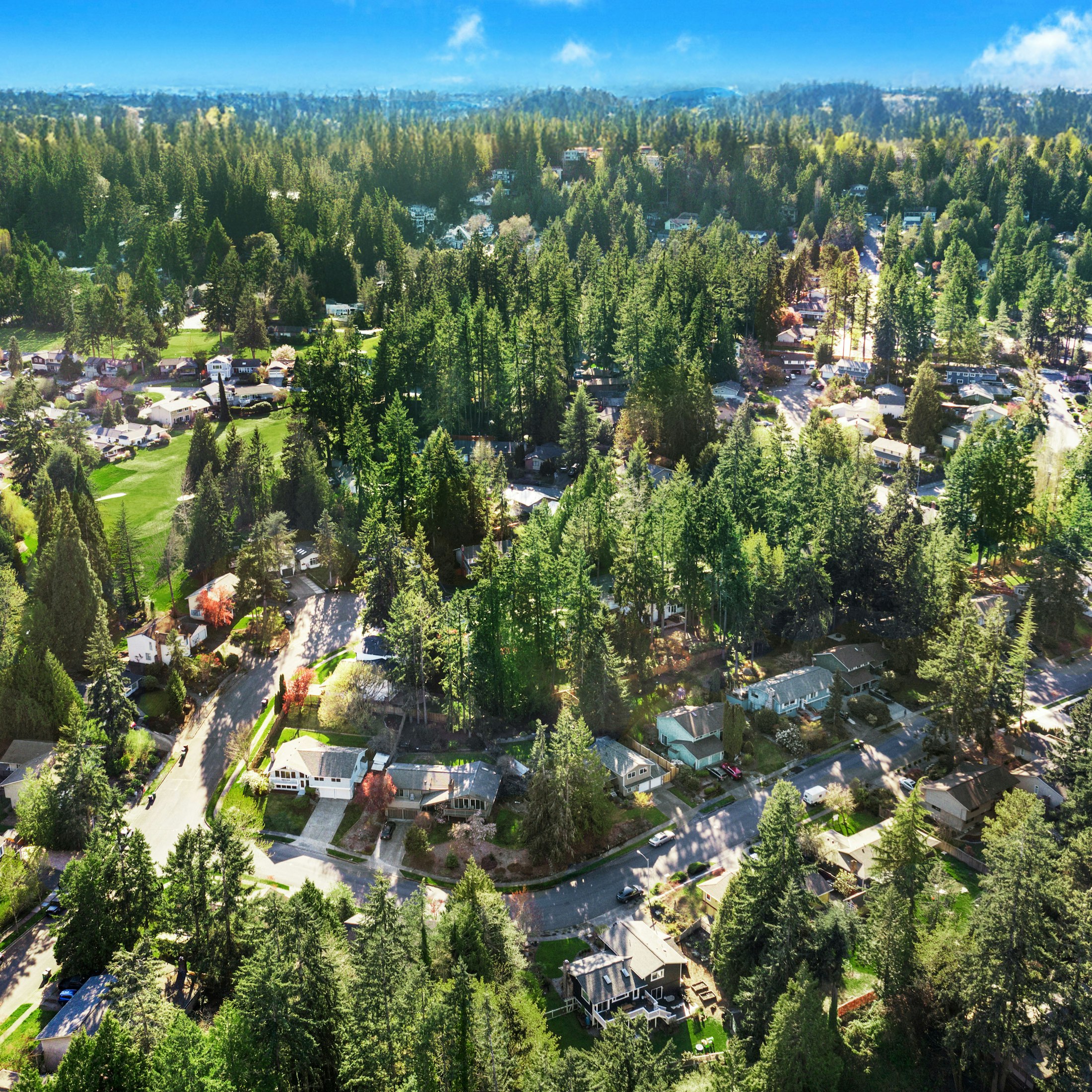  Welcome to Littletree - 物件實景