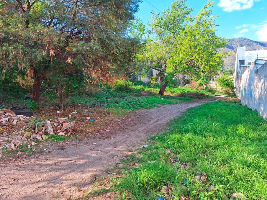 Jocotepec, Jalisco, 45800, Mexico, 1 Bedroom Bedrooms, ,Residential,For Sale,1918535