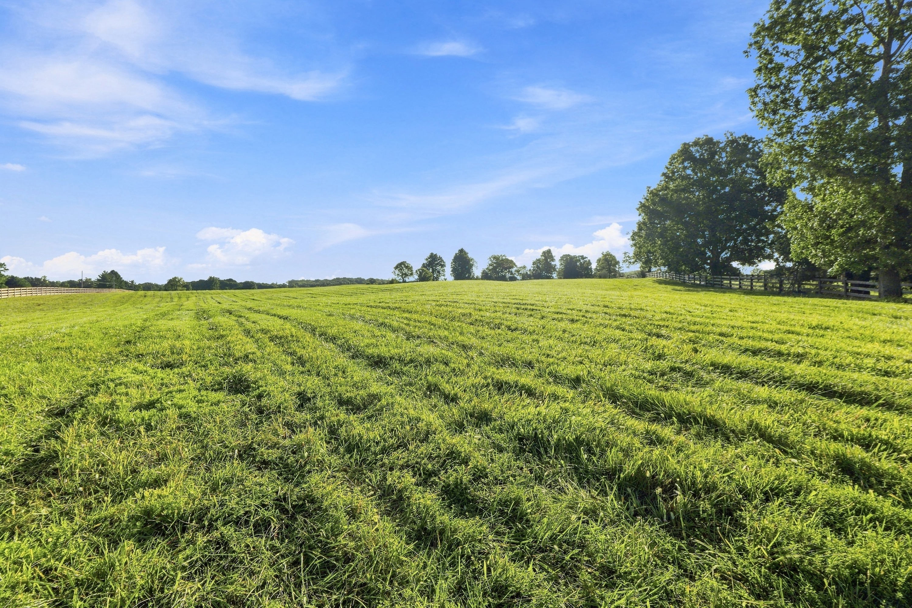  Tract 1 Ballard School Road, La Grange, KY 40031 - 物件實景