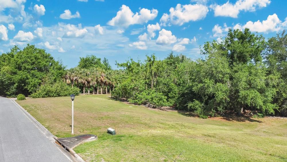 Windermere, Florida, 34786, United States, ,Land,For Sale,1885858