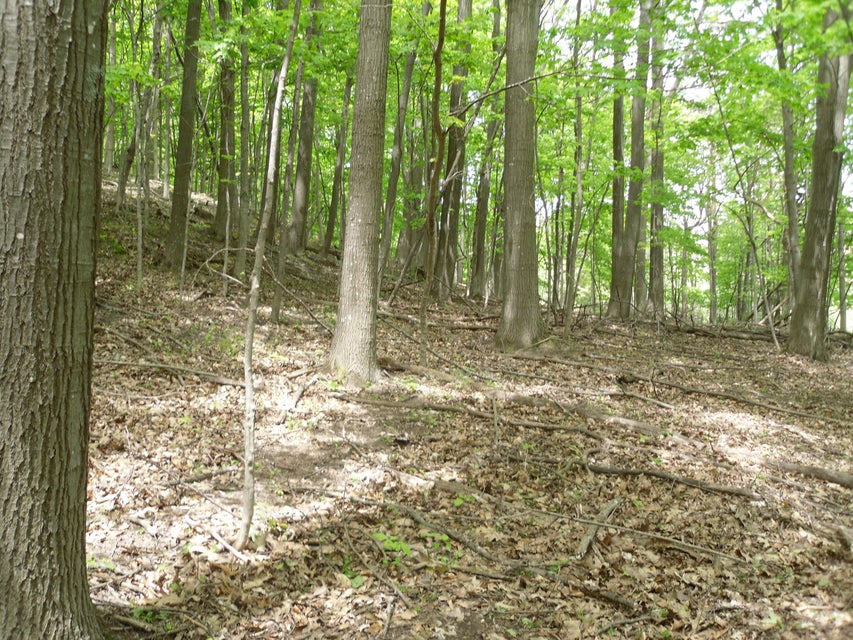 Ludington, Michigan, 49431, United States, ,Residential,For Sale,1915424