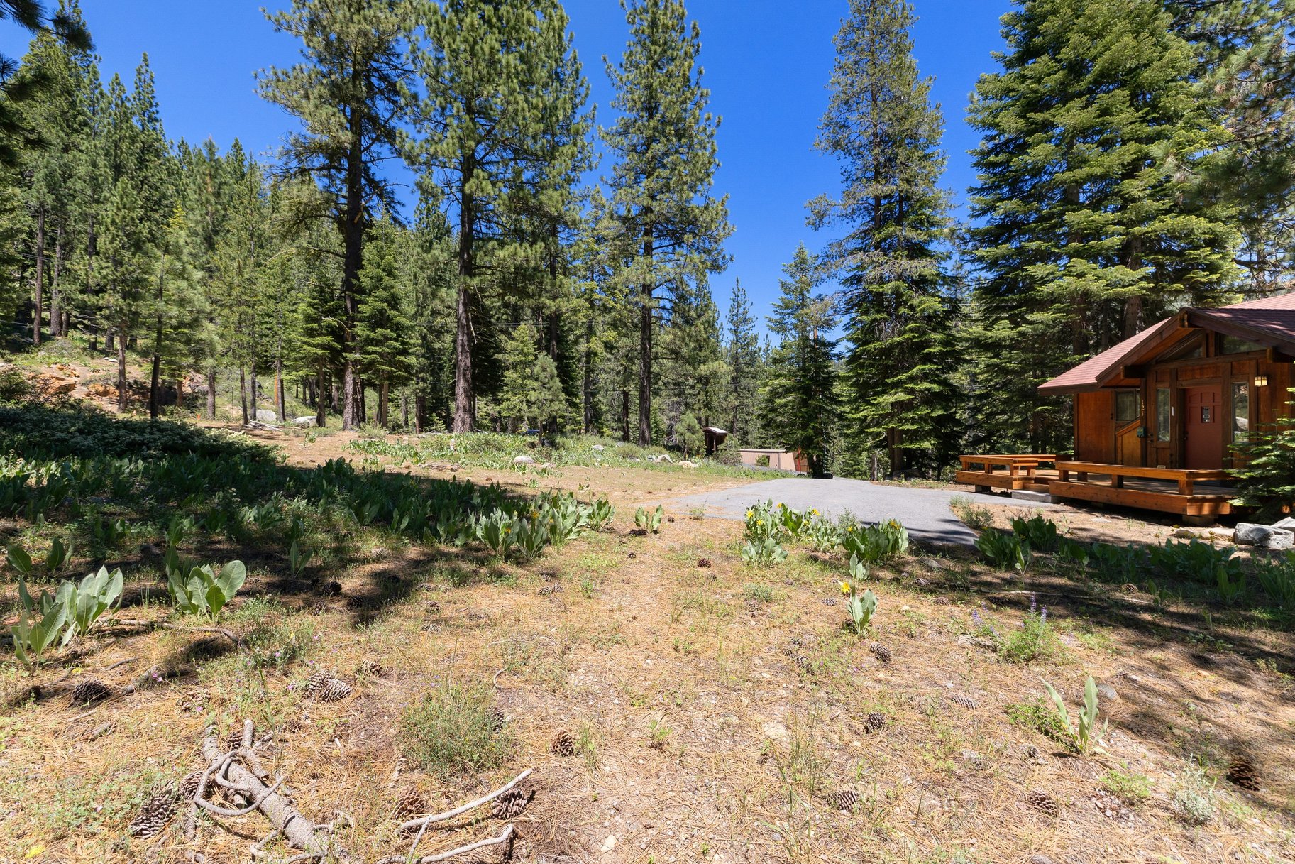  Cozy Olympic Valley Ski Cabin Near Palisades Tahoe - 物件實景