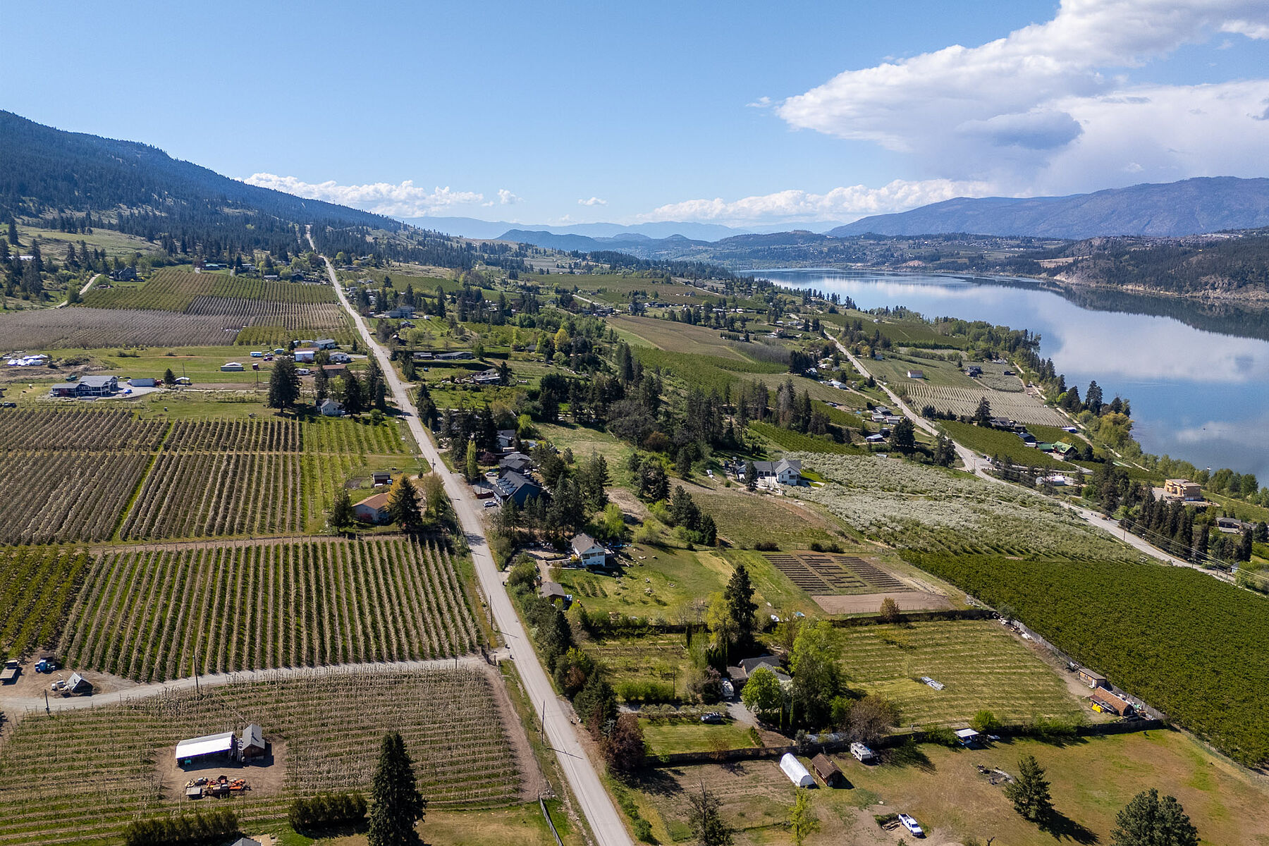  2.63 Acres in Oyama - 物件實景