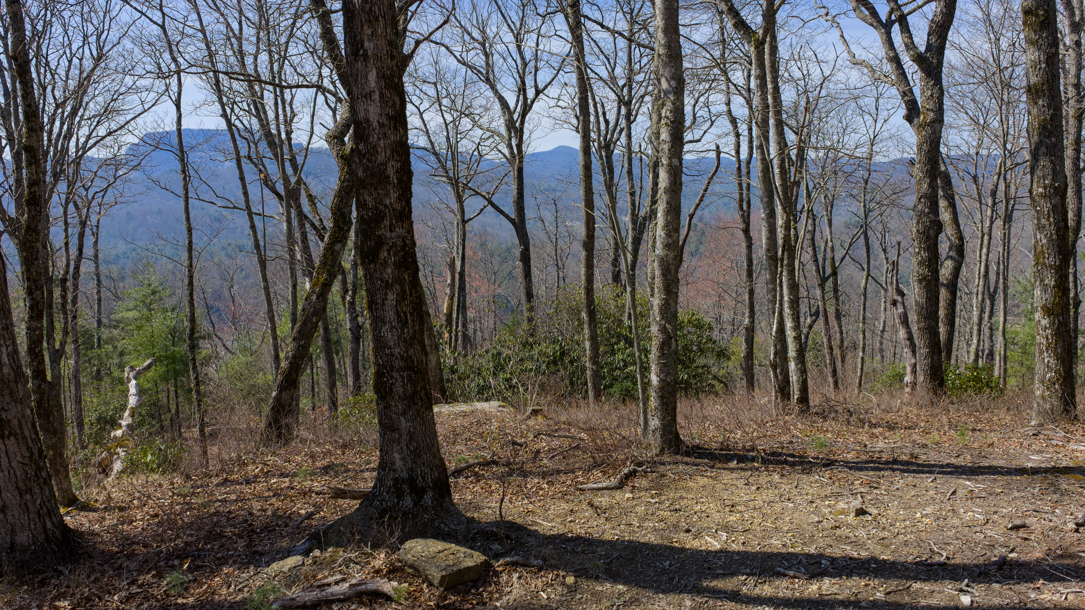  Premier Silver Run Reserve Mountaintop Estate Homesite - 物件實景