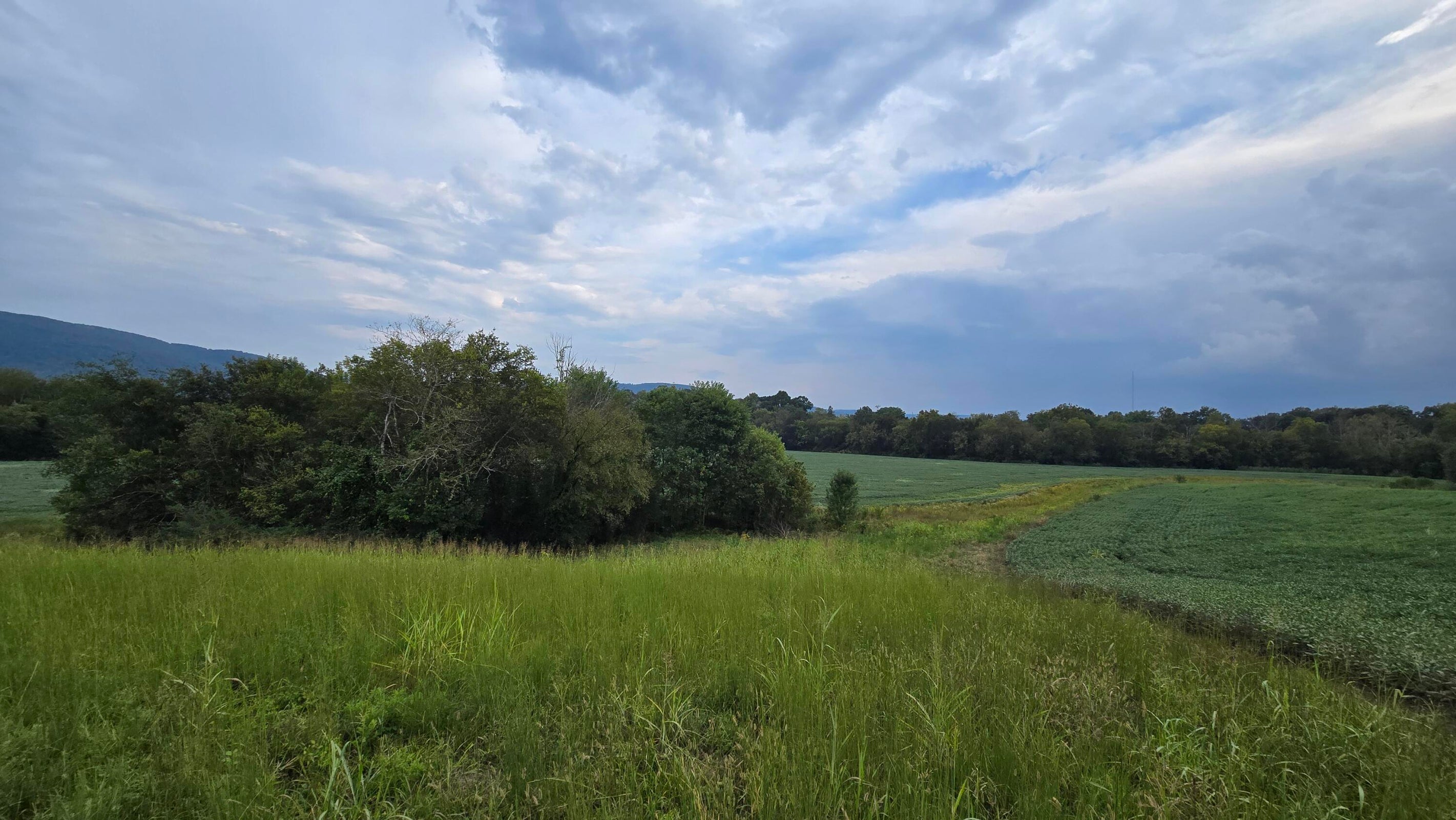 Pikeville, Tennessee, 37367, United States, ,Land,For Sale,1978902
