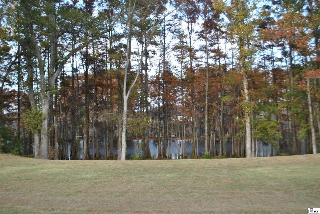 Sterlington, Louisiana, 71280, United States, 4 Bedrooms Bedrooms, ,3 BathroomsBathrooms,Residential,For Sale,1995484