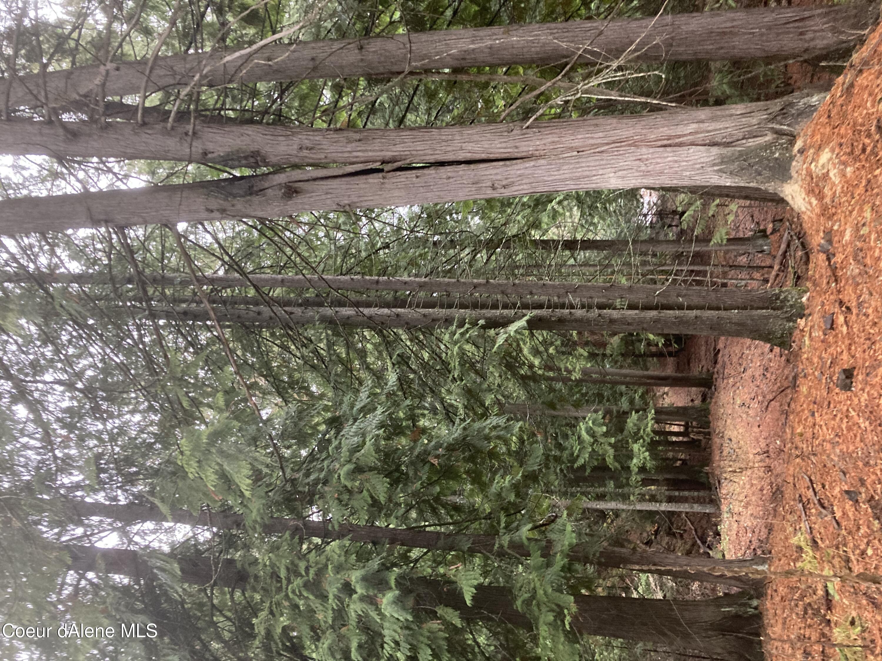 85 S Millview Lane, Coeur d'Alene, Idaho, 83814, United States, ,Residential,For Sale,85 S Millview Lane,1476039