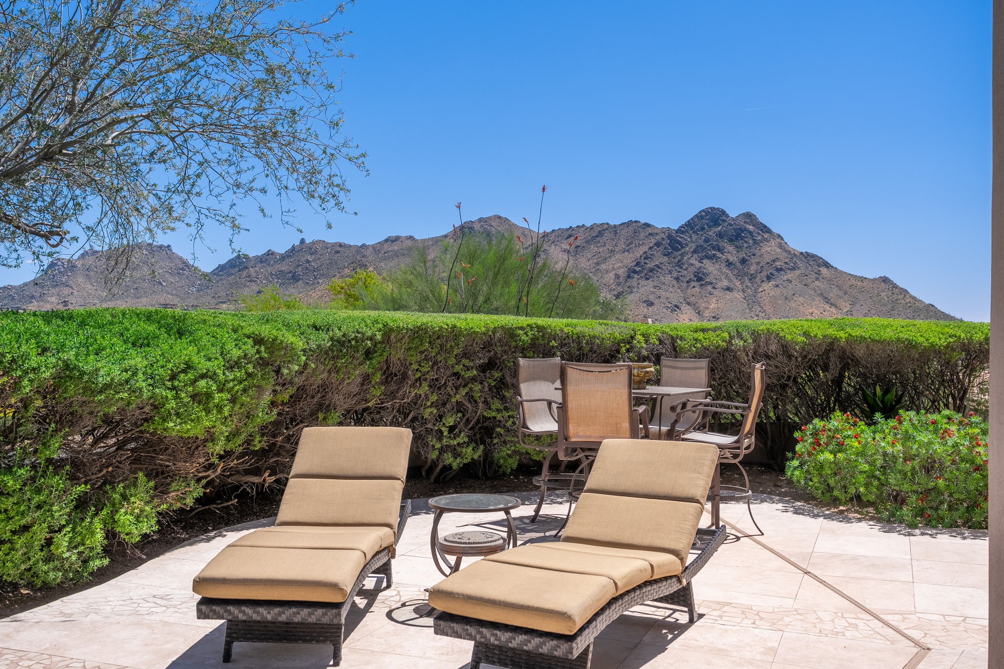  24929 N 114th Street  Scottsdale, AZ - 物件實景