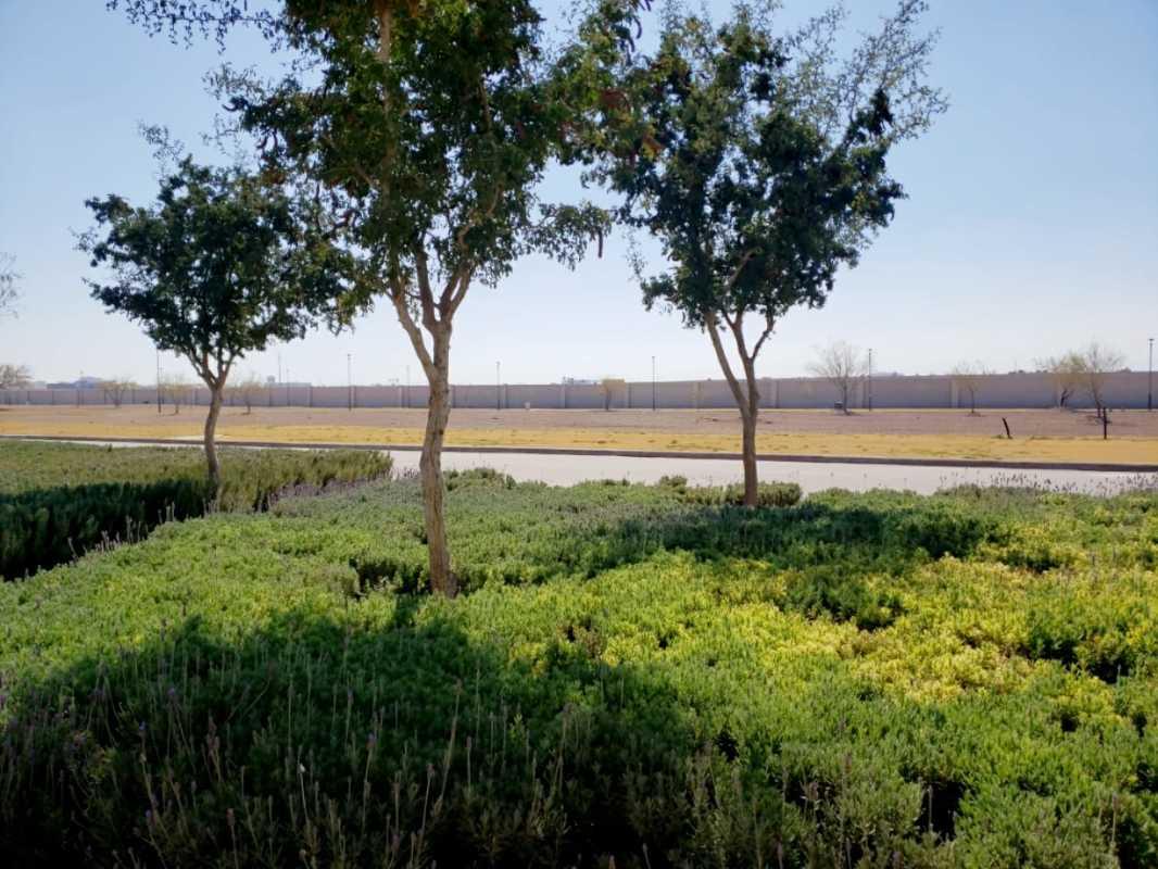 EL CARDENCHAL, Torreón, Coahuila de Zaragoza, 27105, Mexico, 1 Bedroom Bedrooms, ,Residential,For Sale,EL CARDENCHAL,1233890
