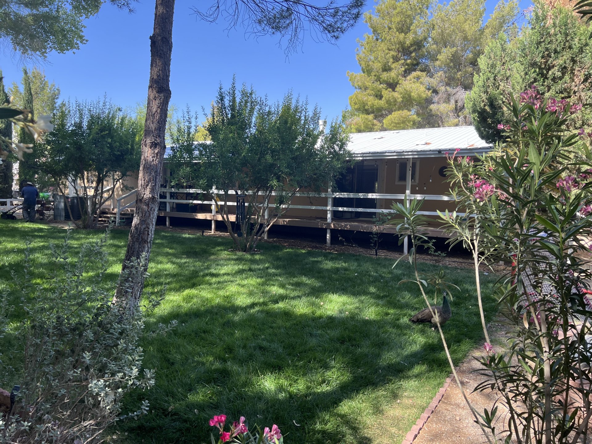 Lake Mead Dr, Scenic, AZ 86432 #1