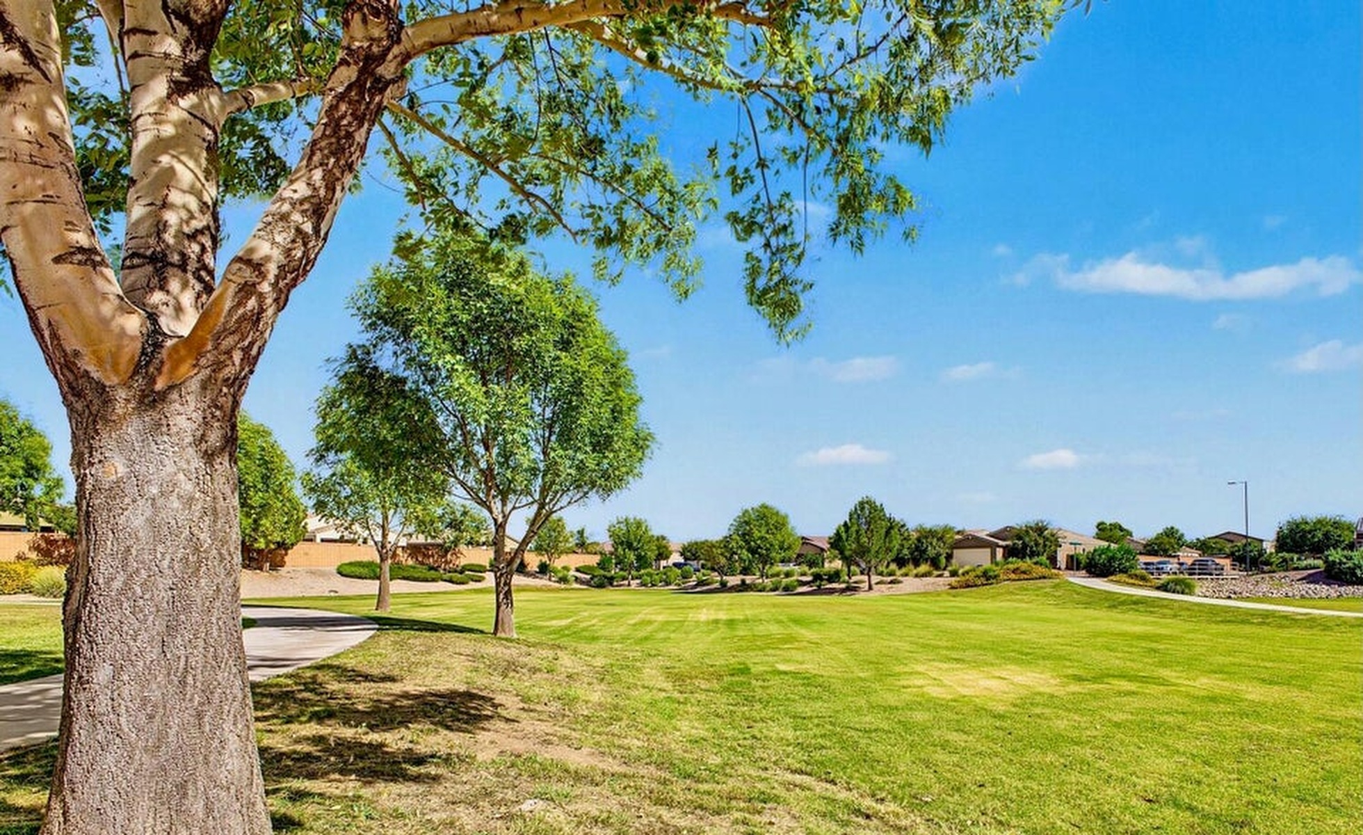  36304 N Chayton Dr  San Tan Valley, AZ - 物件實景