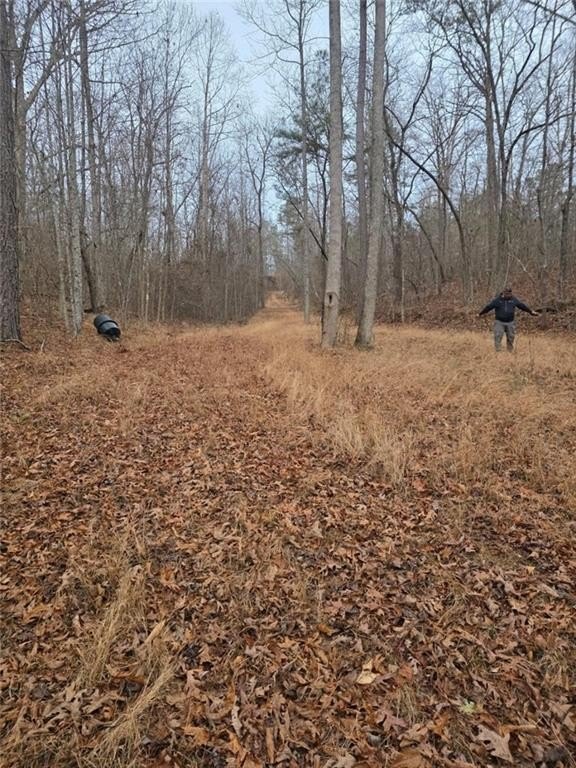 Talking Rock, Georgia, 30175, United States, 1 Bedroom Bedrooms, ,1 BathroomBathrooms,Residential,For Sale,2005739