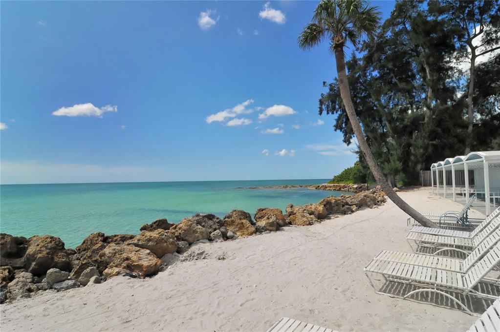 1249 S Basin Lane, Sarasota, Florida, 34242, United States, 6 Bedrooms Bedrooms, ,7 BathroomsBathrooms,Residential,For Sale,1249 S Basin Lane,1669089