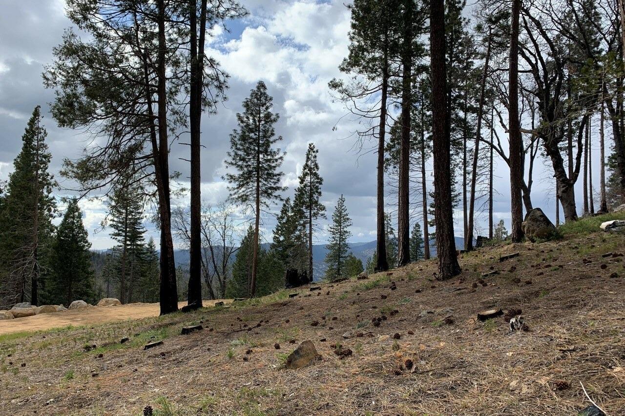 Yosemite, California, 95389, United States, ,Residential,For Sale,1791701