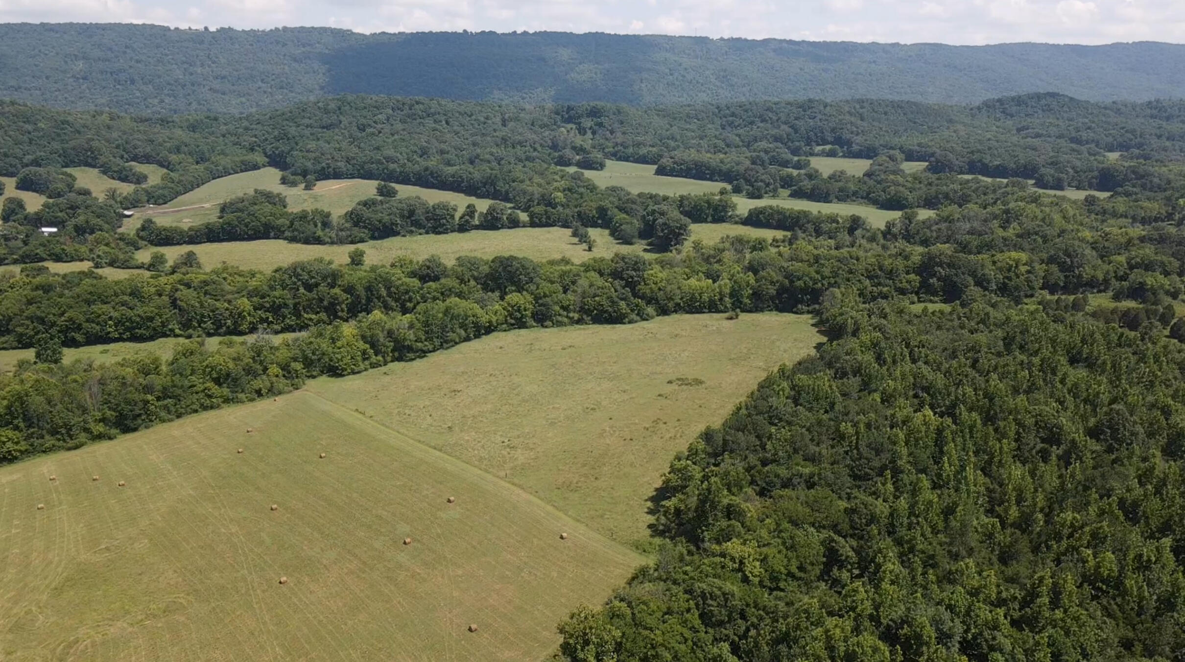 Bryant, Alabama, 35958, United States, ,Land,For Sale,1982684