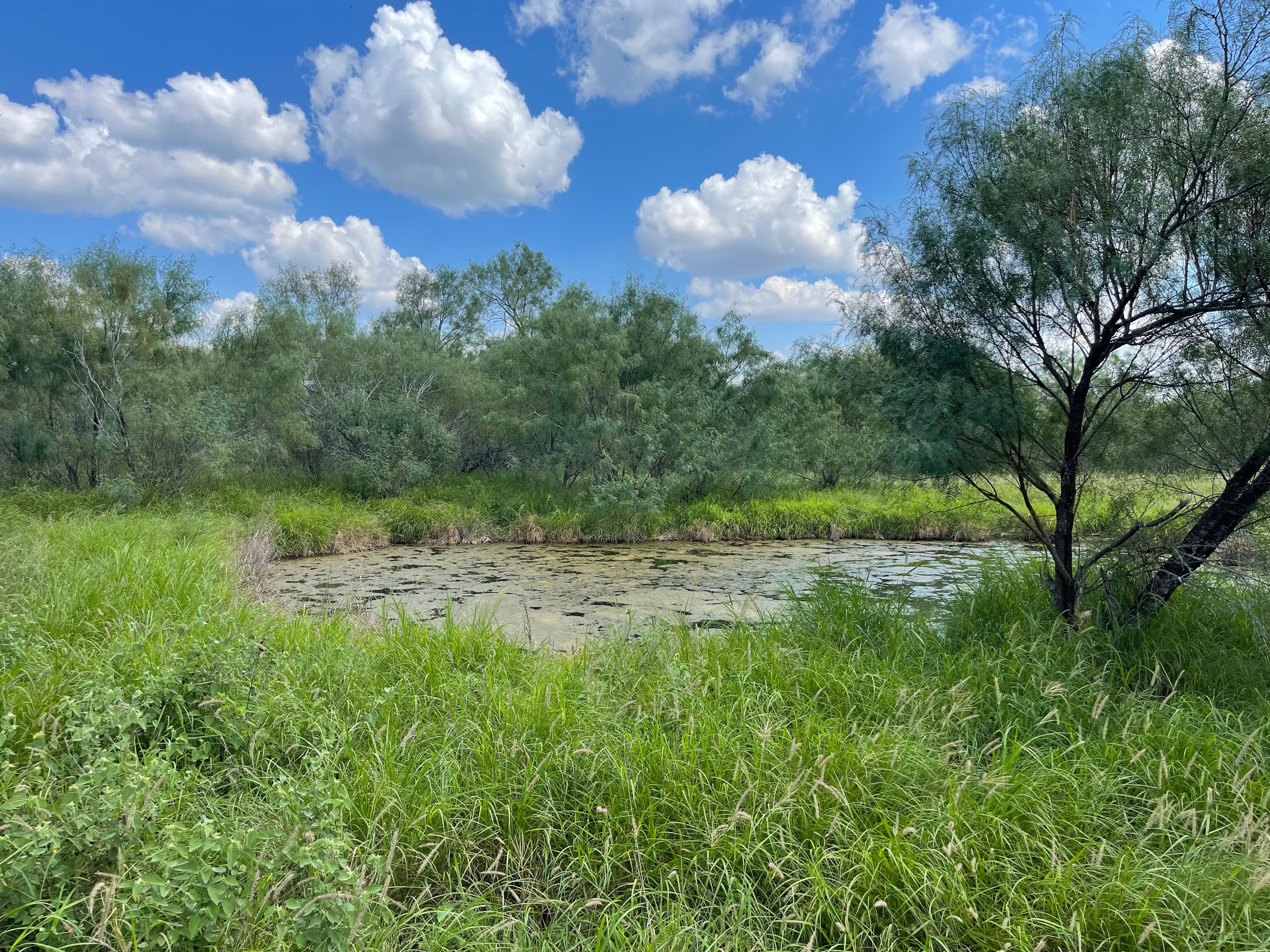  Historic El Tecomate Hunting Ranch - 物件實景