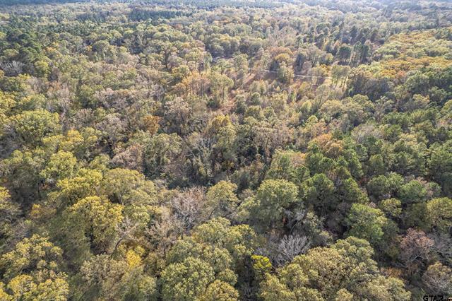 Winona, Texas, 75792, United States, 4 Bedrooms Bedrooms, ,3 BathroomsBathrooms,Residential,For Sale,1996404