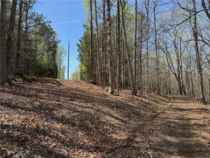 Gainesville, Georgia, 30506, United States, ,Land,For Sale,1992384