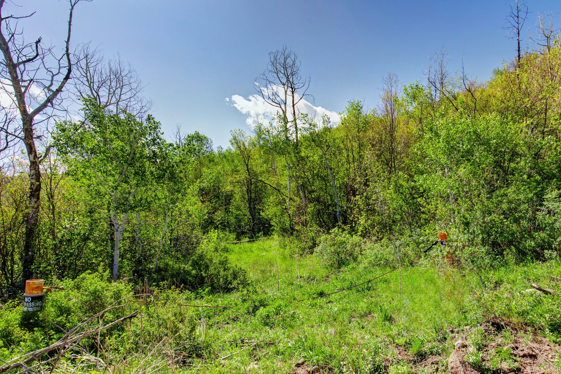  Wooded 5 acres No HOA - 物件實景