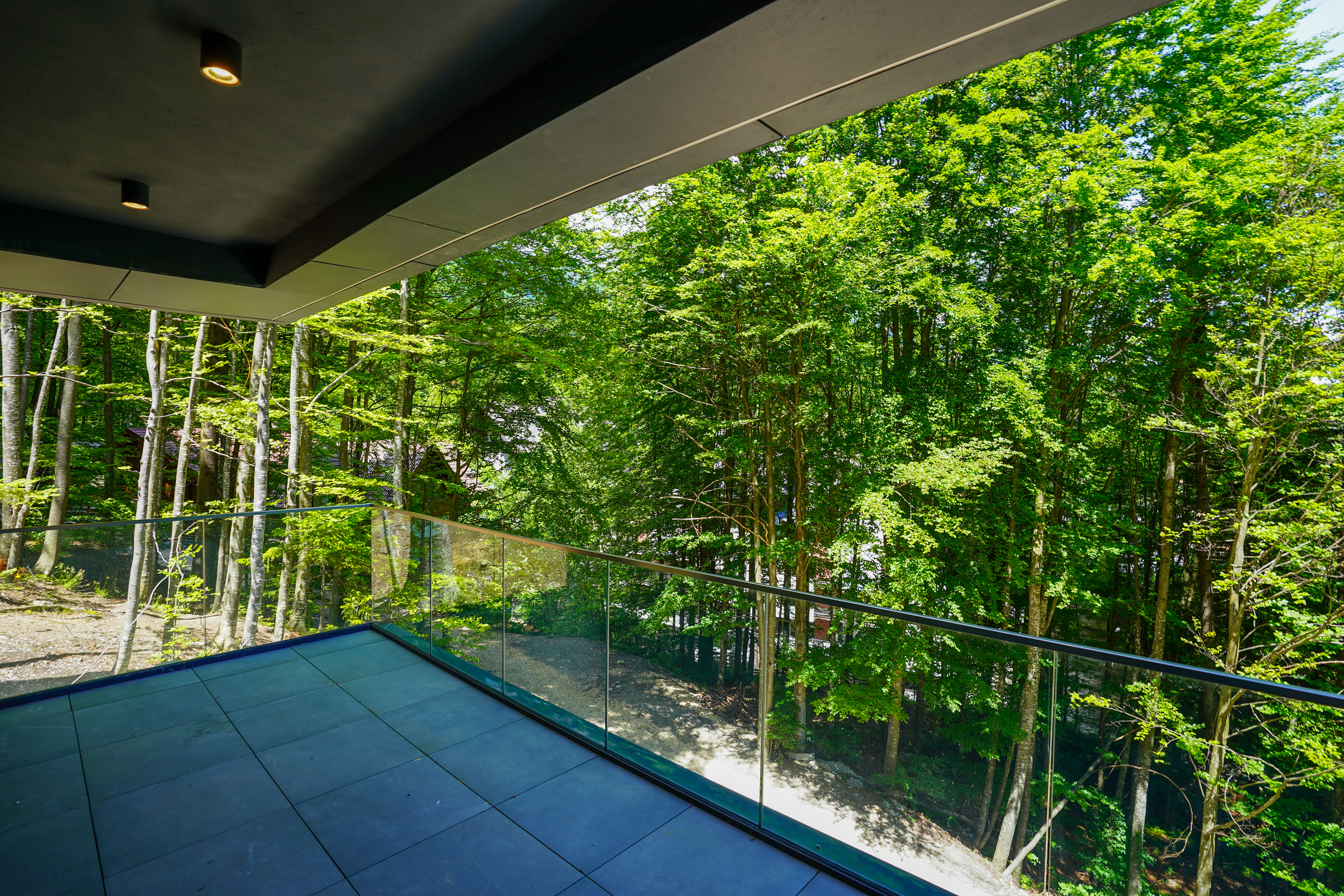  Modern Apartment with Private Garden at the Edge of the Forest, Sinaia - 物件實景