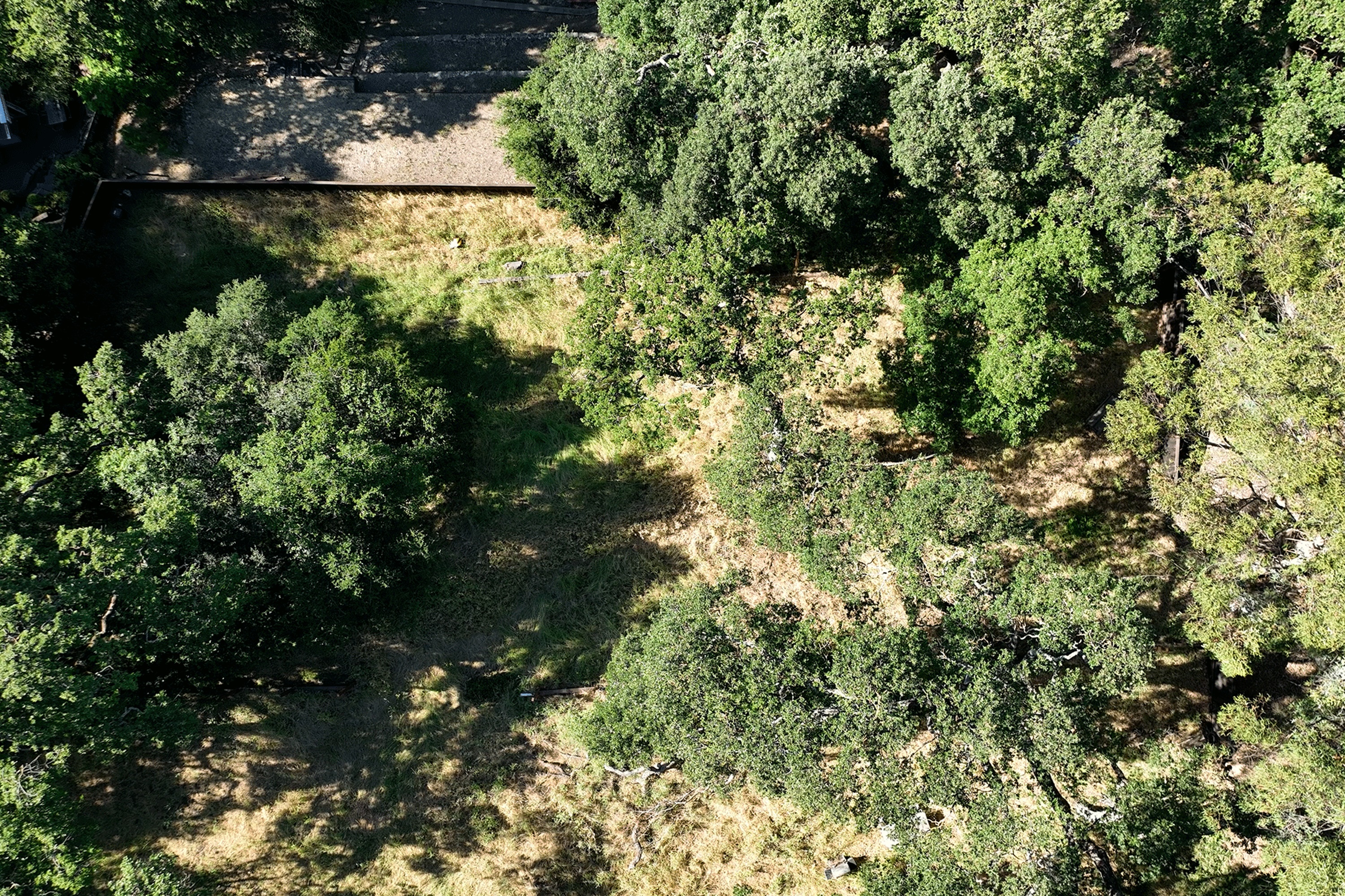  Build Your Dream Home on Nearly an Acre with Sweeping Walnut Creek Views - 物件實景