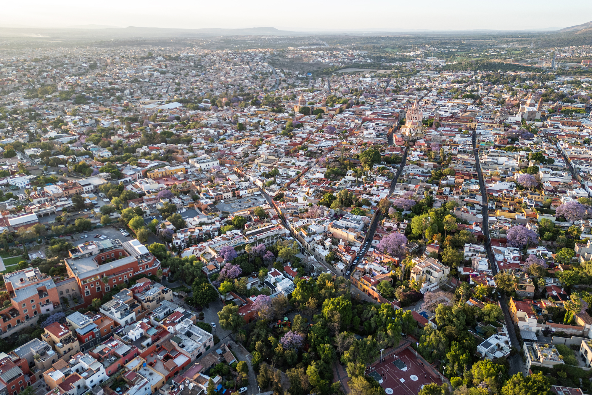  Rosewood 2a - 物件實景