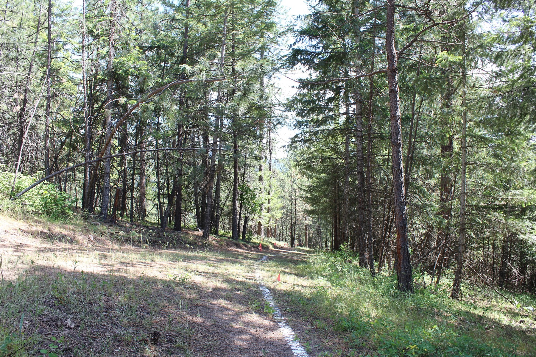  881 S Allen Rd and 2714 E Haven Dr Coeur d