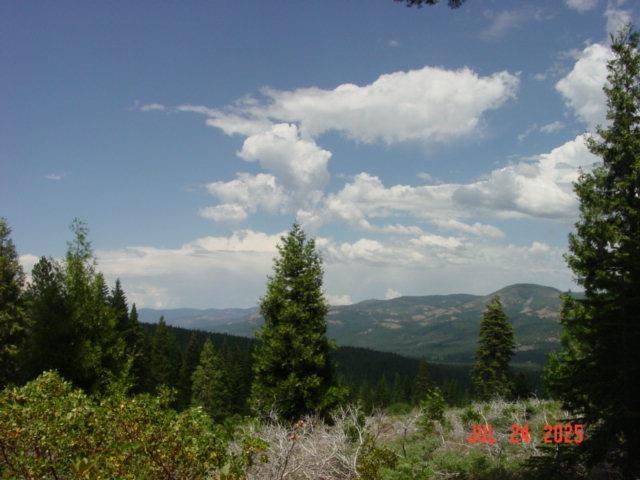 Clio, California, 96106, United States, ,Residential,For Sale,1932146