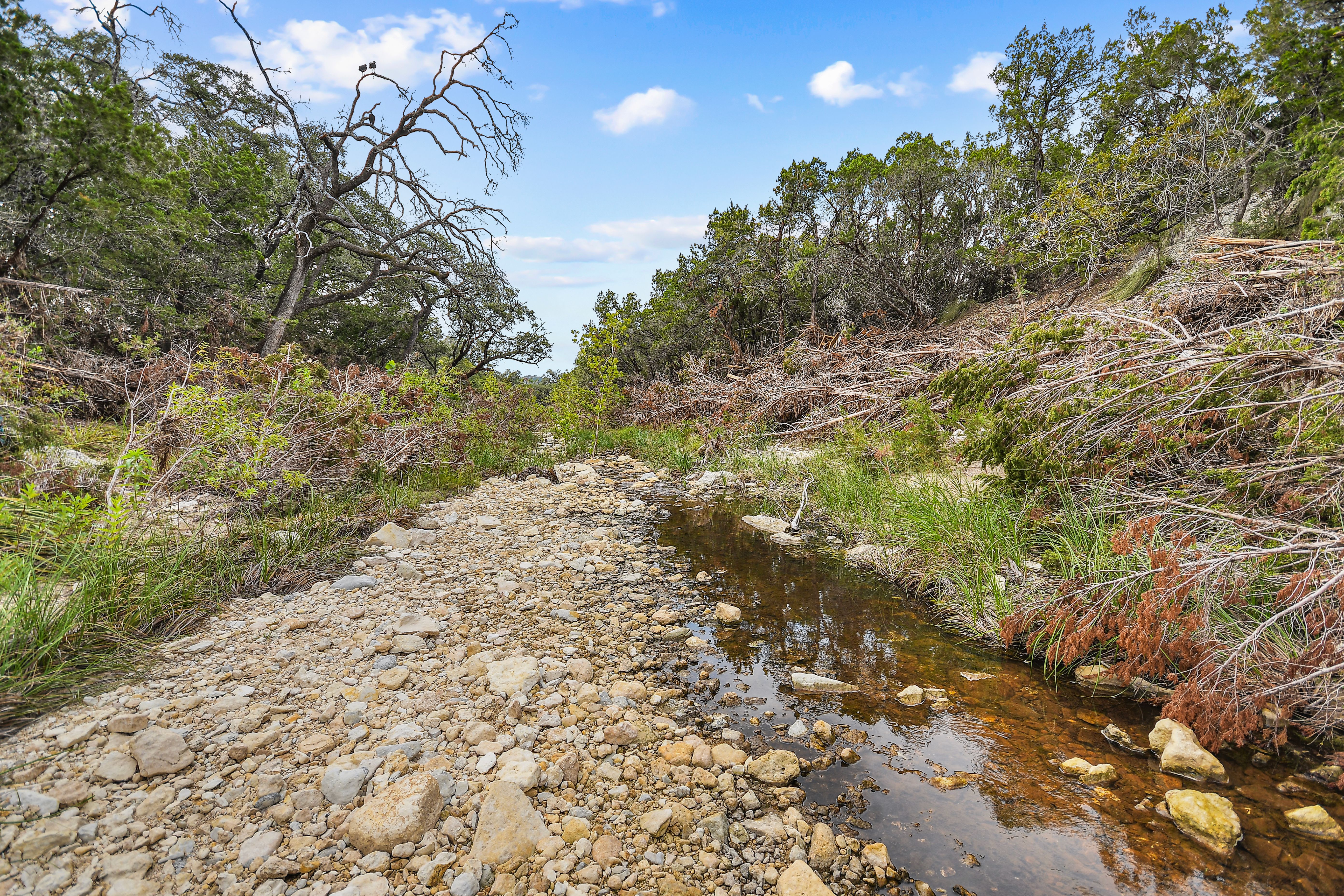  TBD Hwy 46 / Madrona Ranch Road, Pipe Creek, TX 78063 - 物件實景