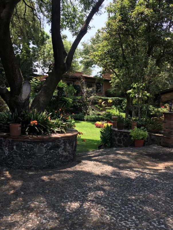 GLORIA, Coyoacán, Ciudad de México, 04380, Mexico, 2 Bedrooms Bedrooms, ,2 BathroomsBathrooms,Residential,For Sale,GLORIA,1440834