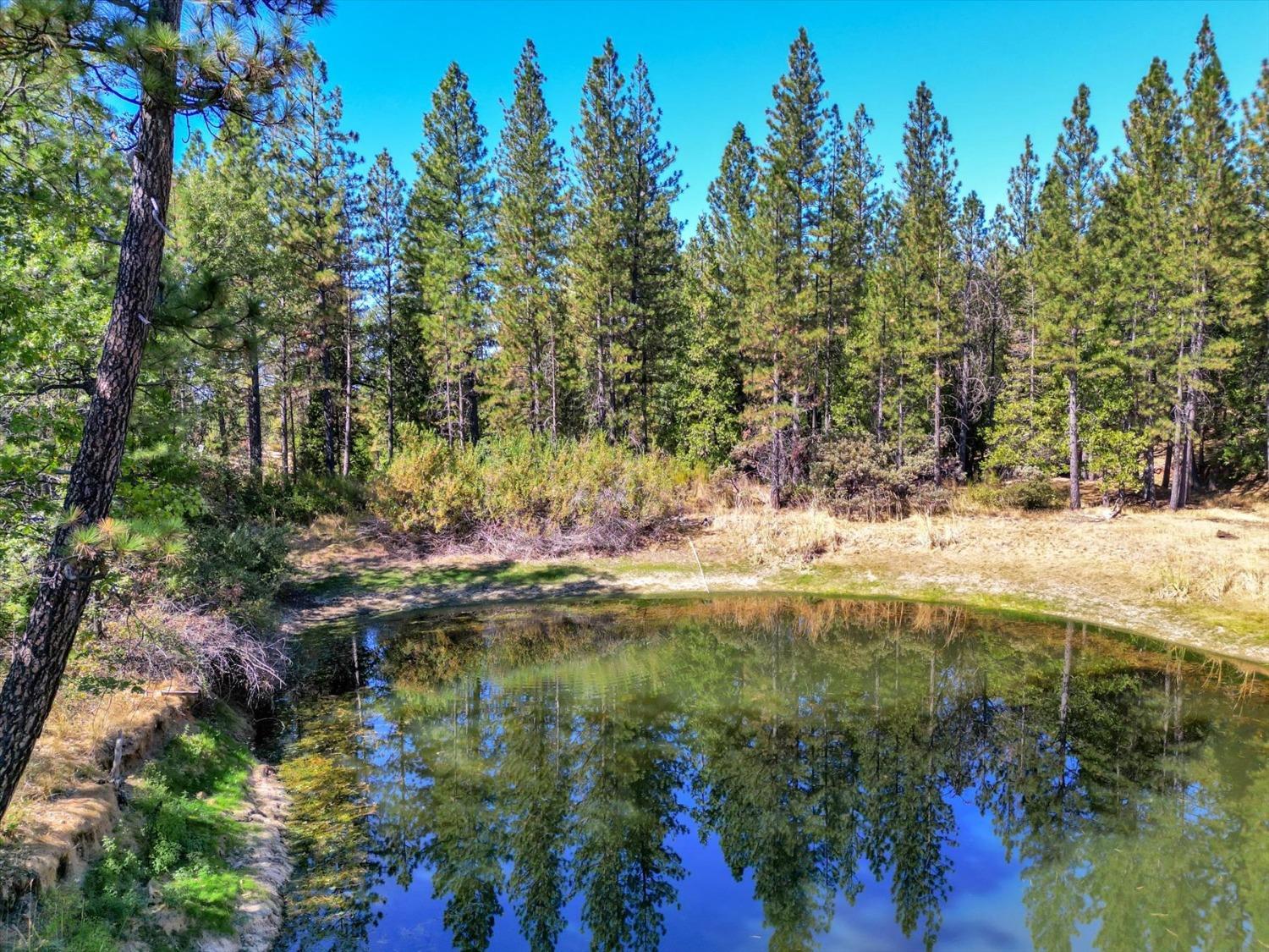 Grass Valley, California, 95945, United States, 4 Bedrooms Bedrooms, ,4 BathroomsBathrooms,Residential,For Sale,1986075