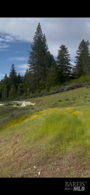 Covelo, California, 95428, United States, ,Land,For Sale,1868572