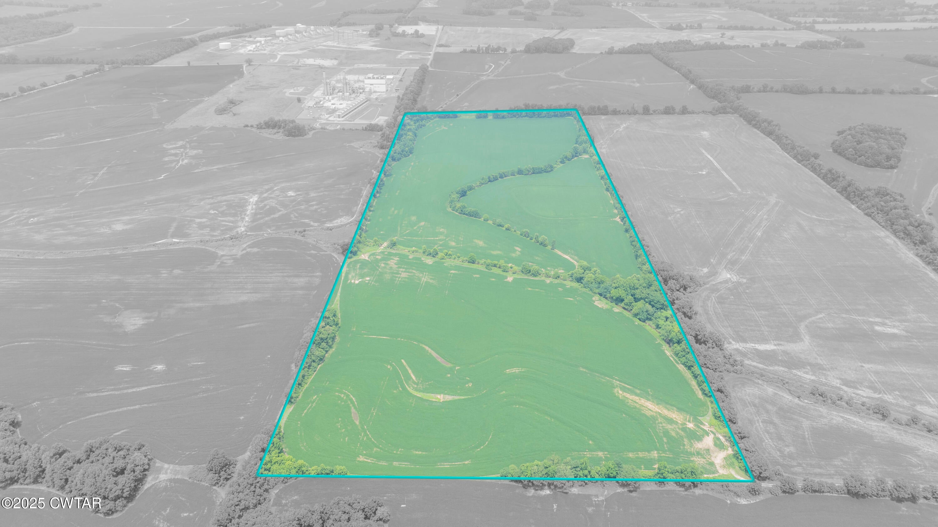 Brownsville, Tennessee, 38012, United States, ,Land,For Sale,1894798