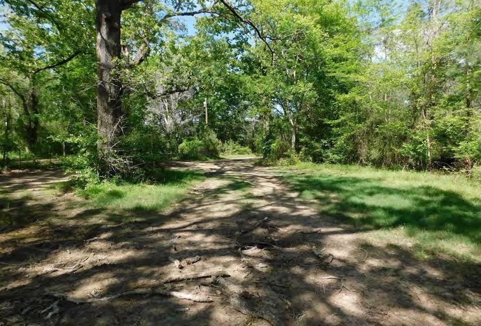 Huntington, Texas, 75949, United States, ,Land,For Sale,1785259