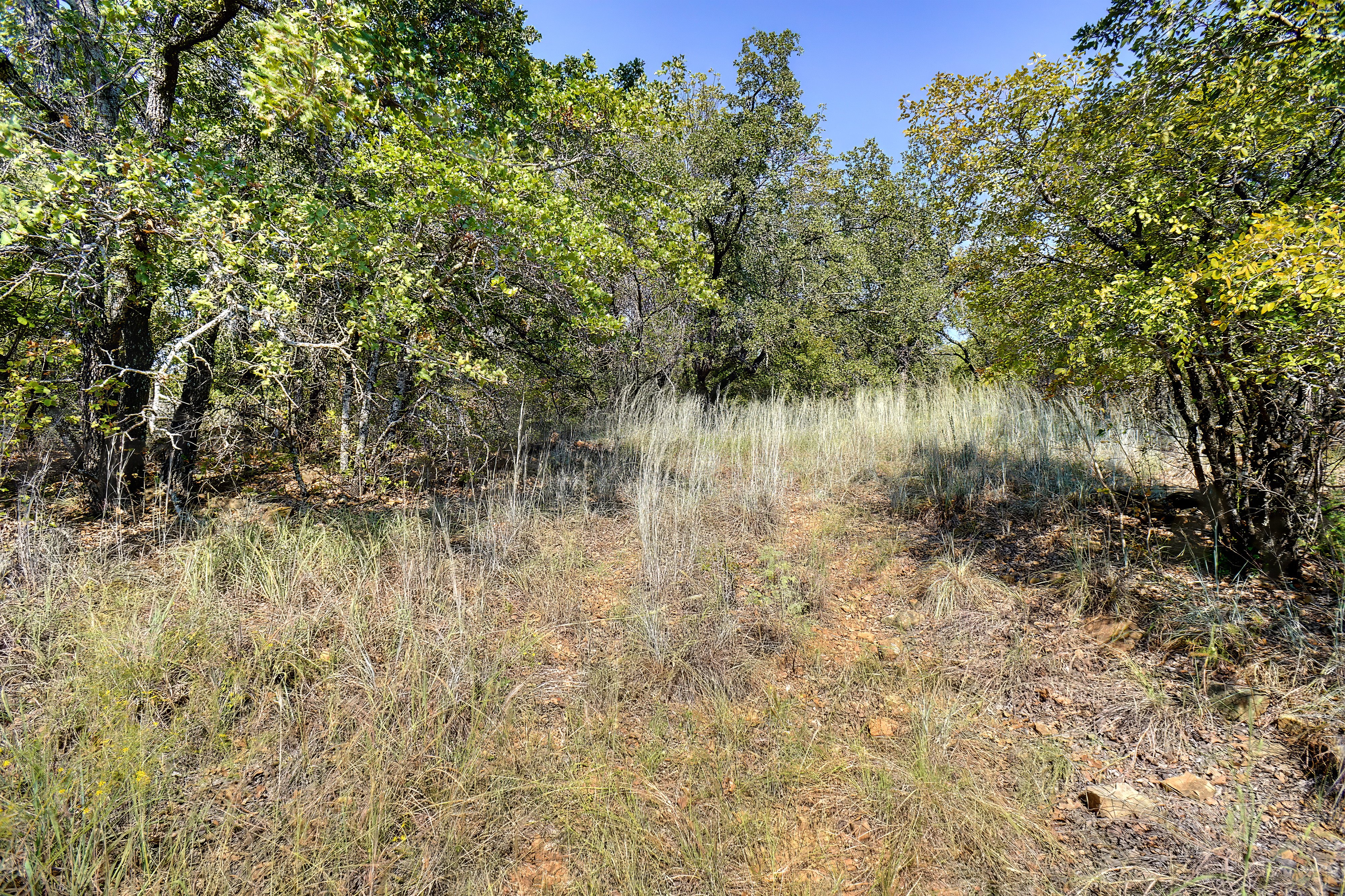 Chico, Texas, 76431, United States, 3 Bedrooms Bedrooms, ,2 BathroomsBathrooms,Residential,For Sale,1936991