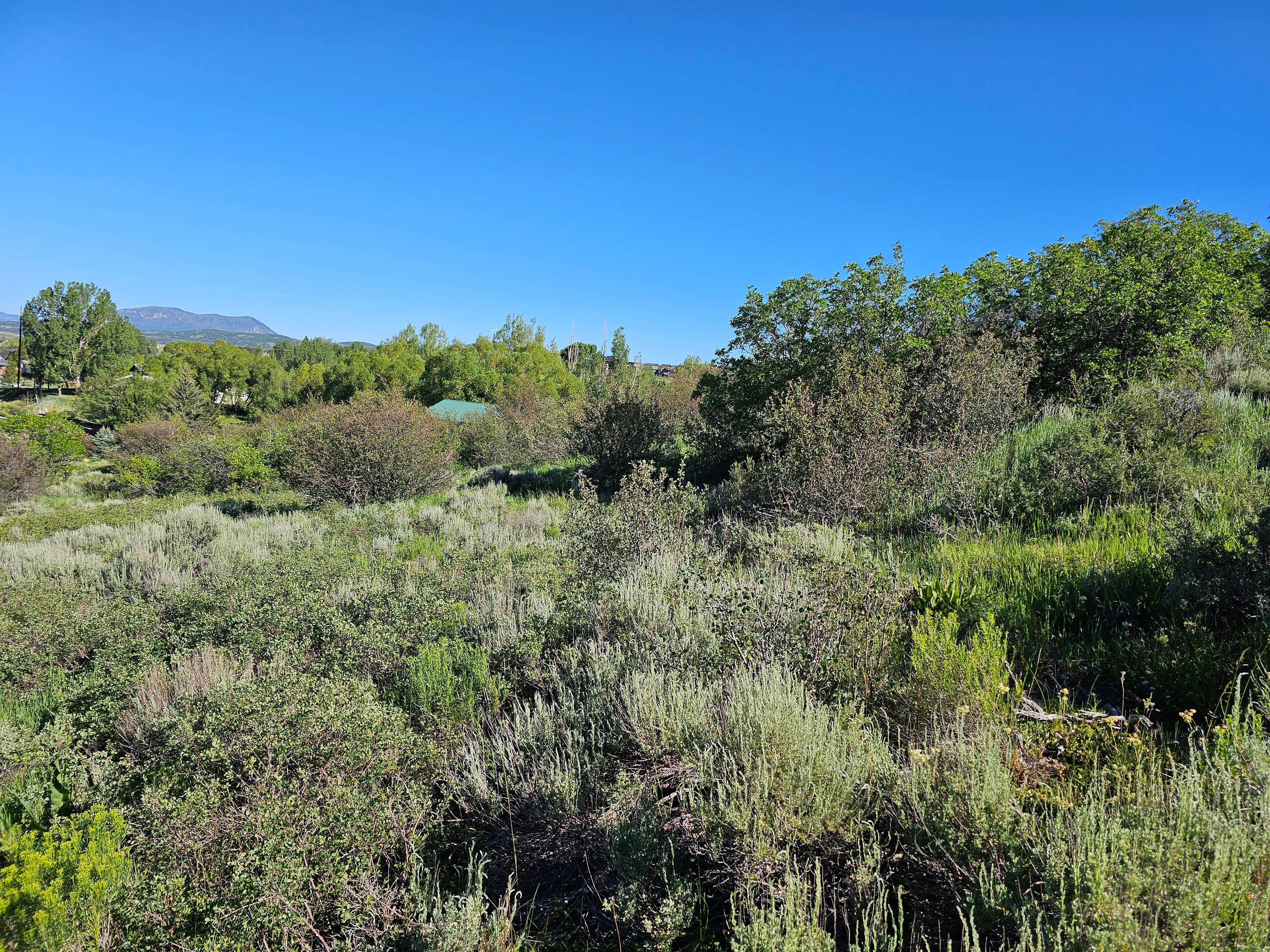  1327 Indian Trail, Steamboat Springs, CO, 80487 - 物件實景